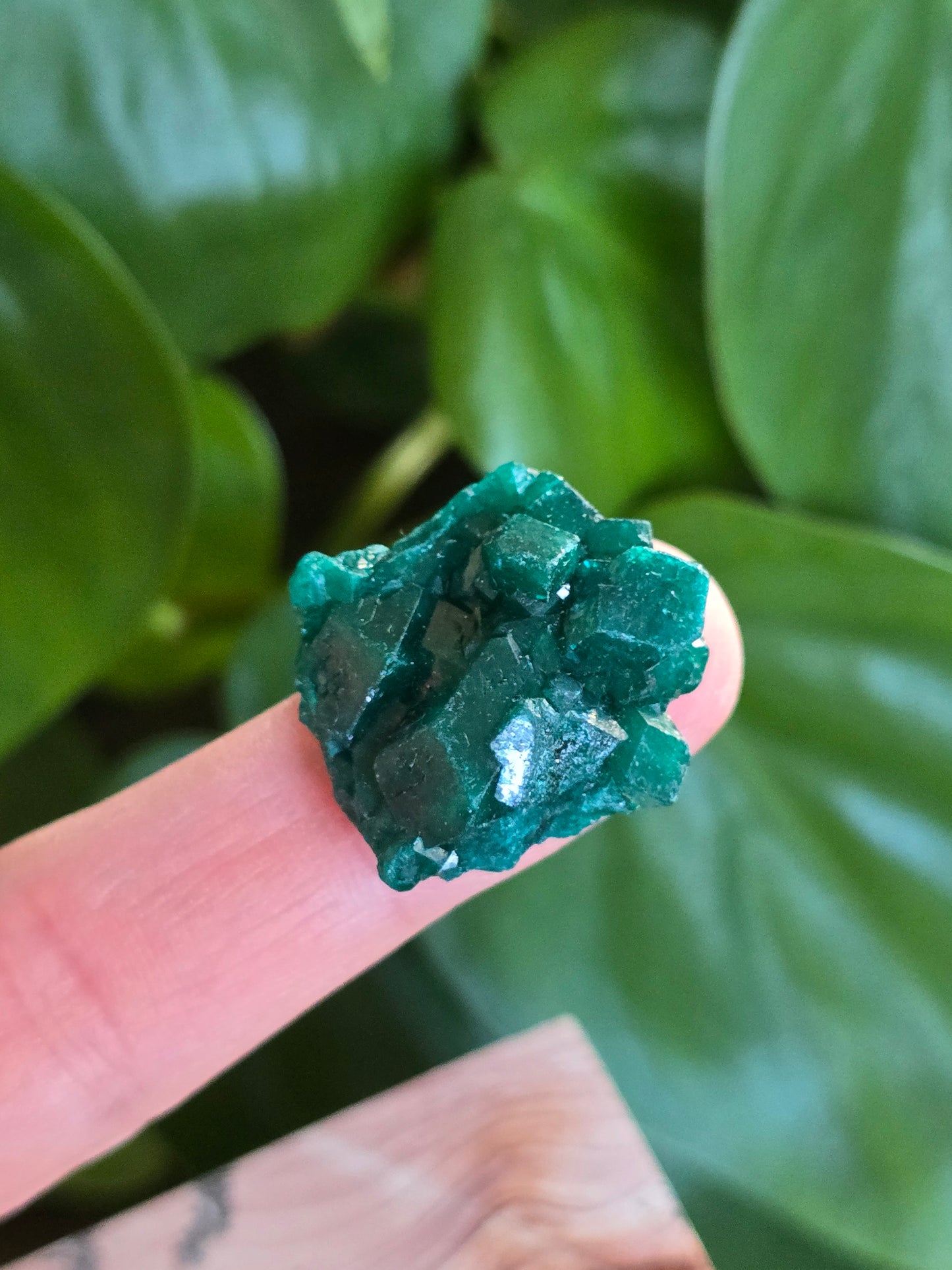 Dioptase Rough Specimen - Congo (2)