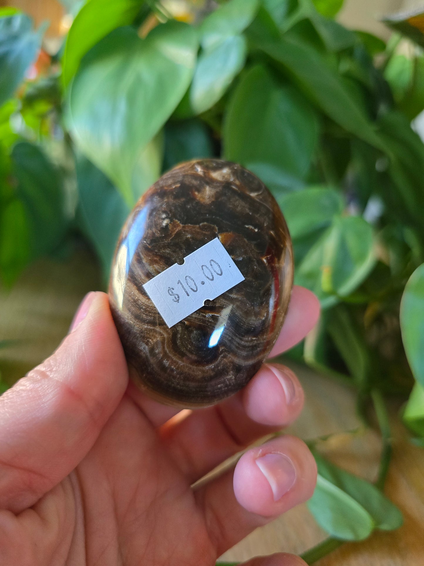 Chocolate Calcite Palm Stone