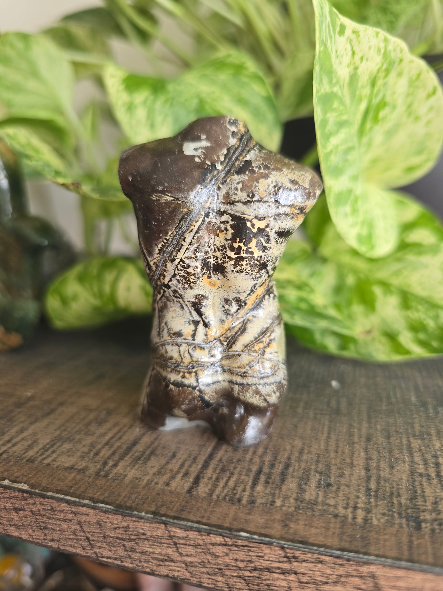 Picture Jasper Male Torso