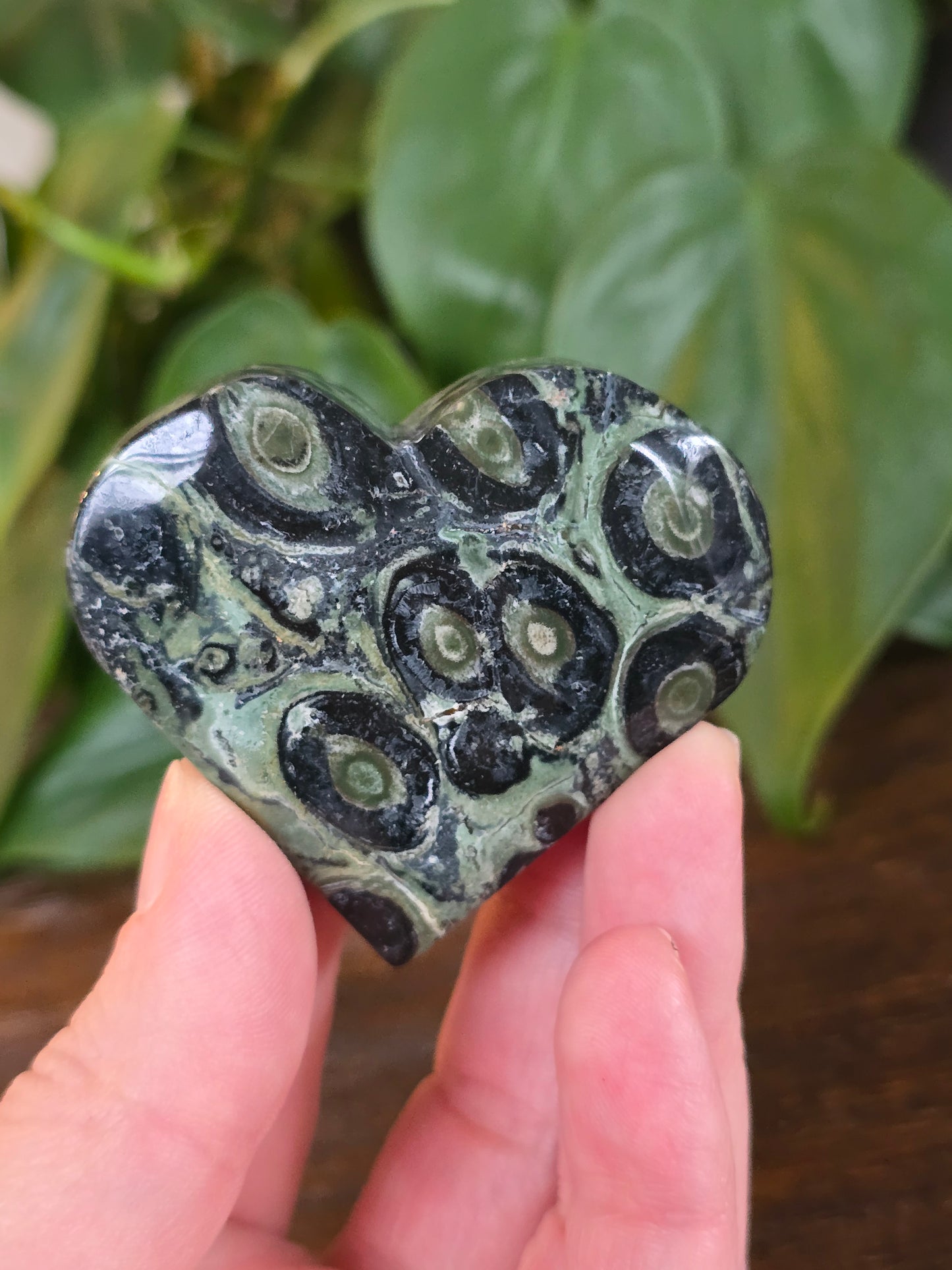 Kambaba Heart "E"
