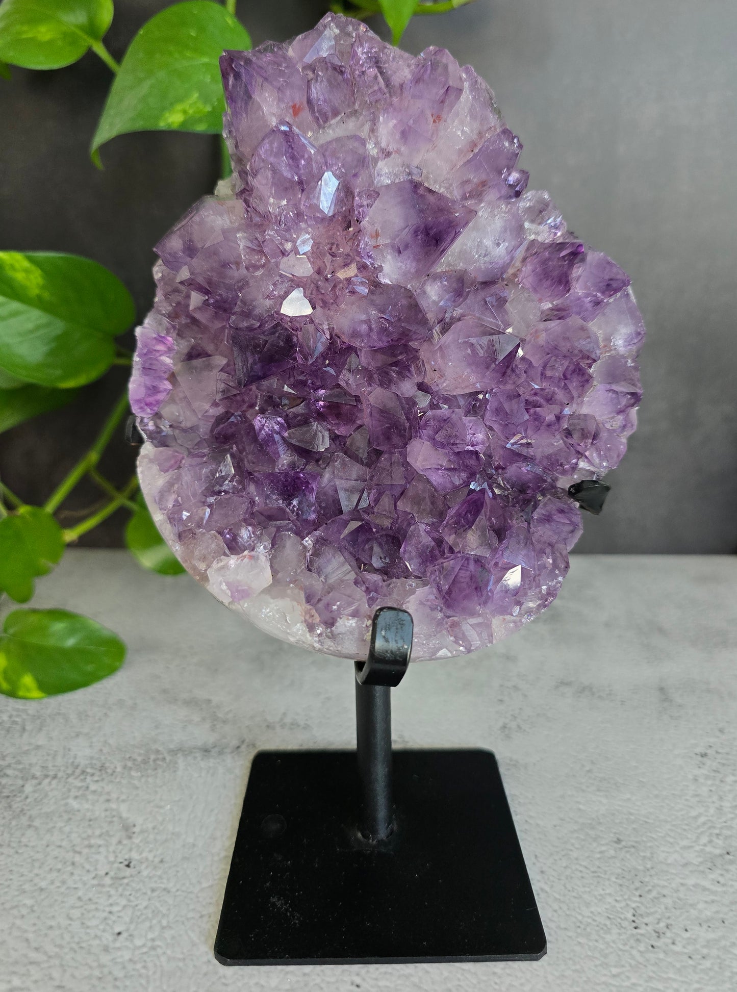 Amethyst Flower Cluster