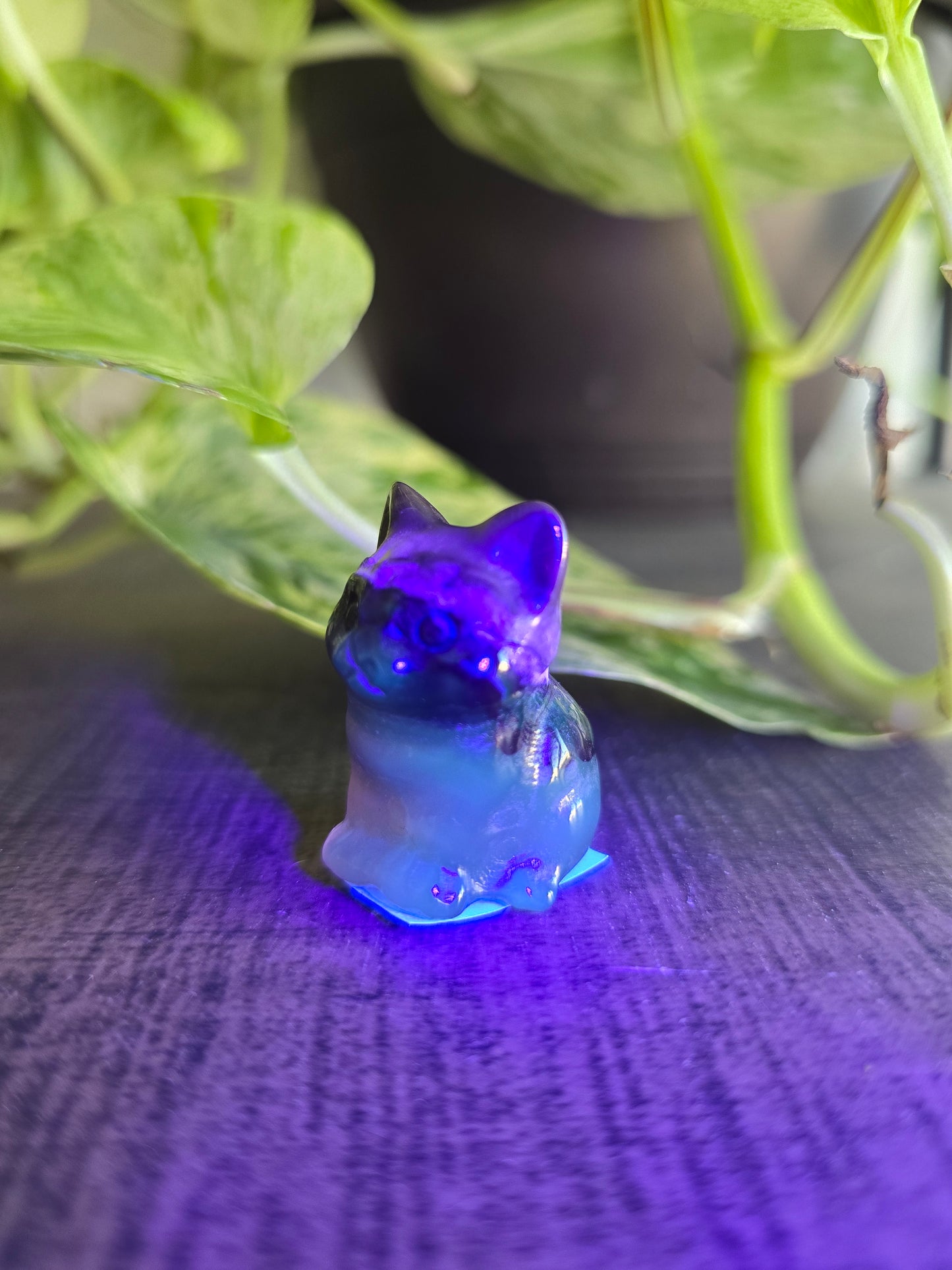 UV Reactive Volcano Agate Cat