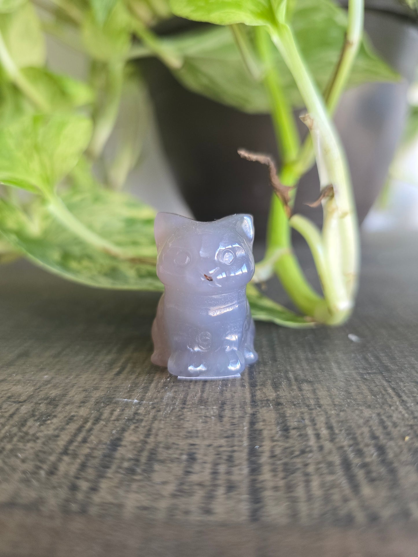 UV Reactive Volcano Agate Cat