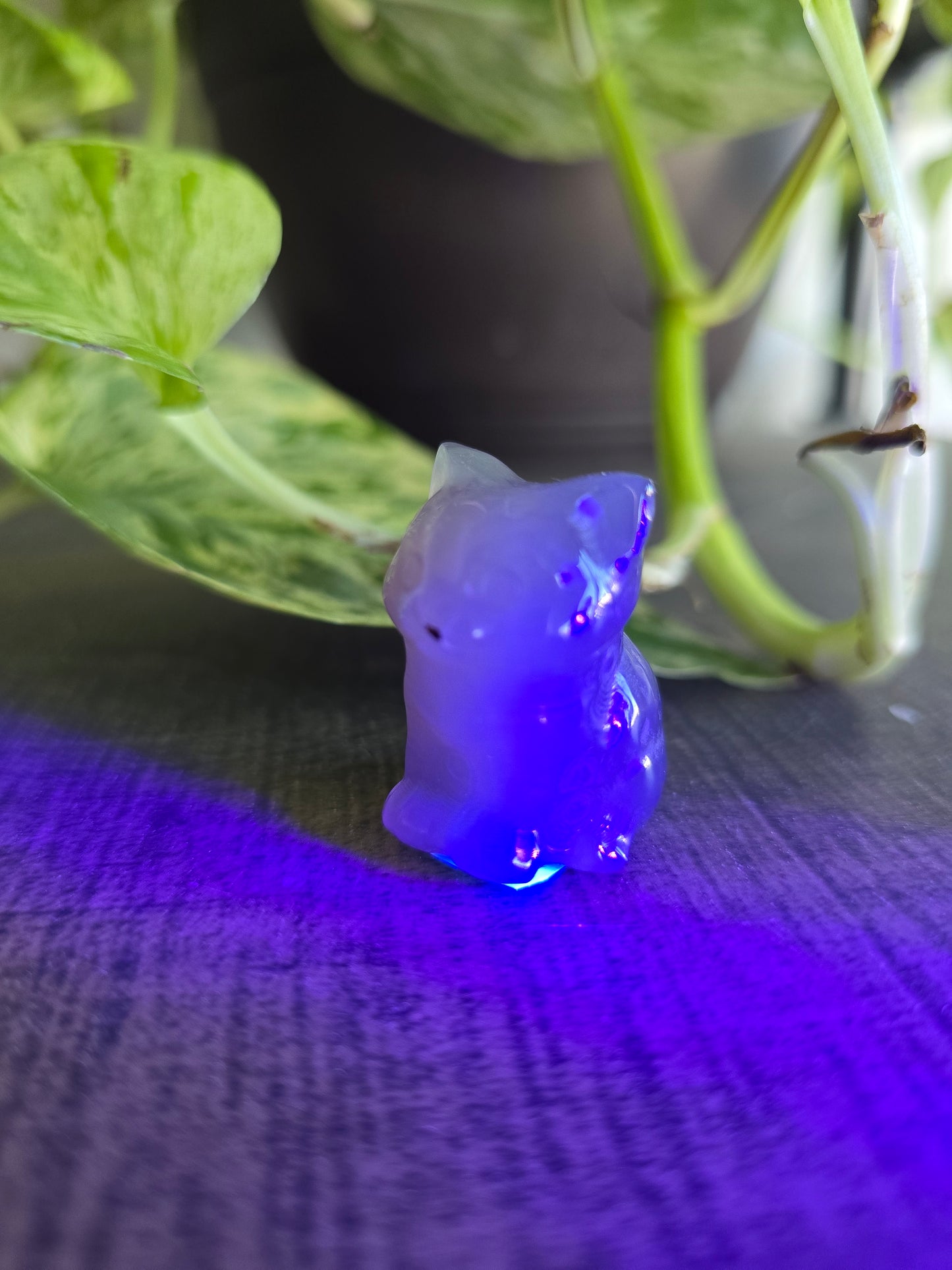 UV Reactive Volcano Agate Cat