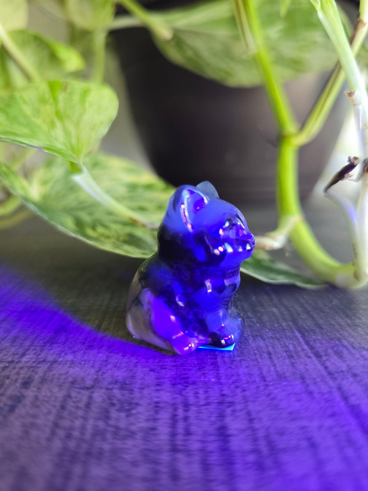 UV Reactive Volcano Agate Cat