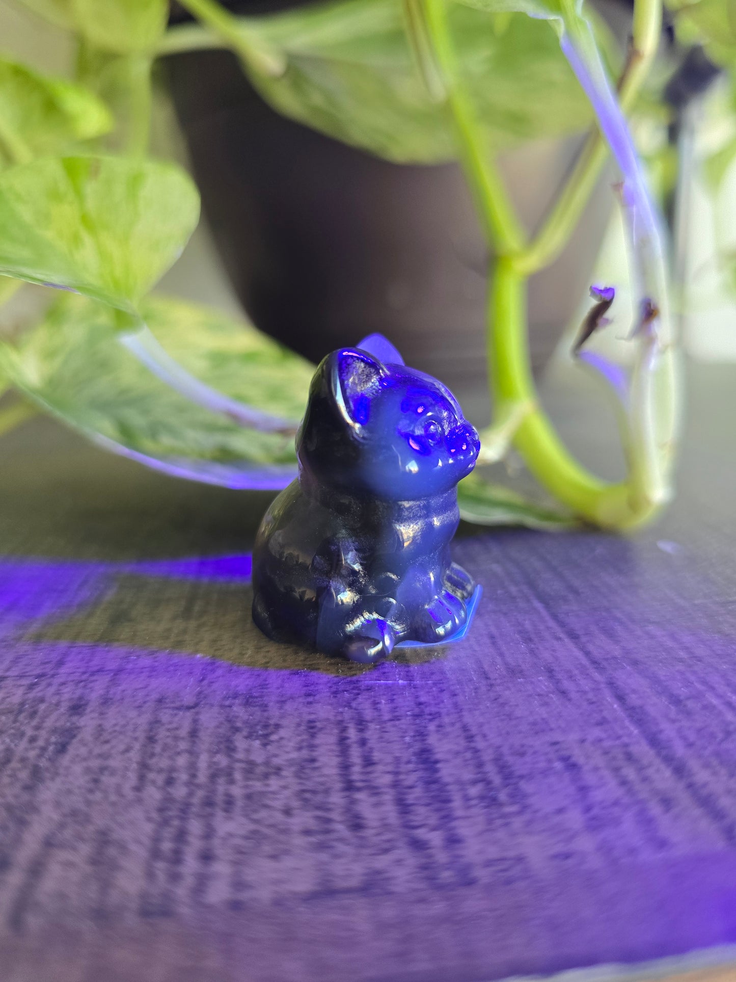 UV Reactive Volcano Agate Cat