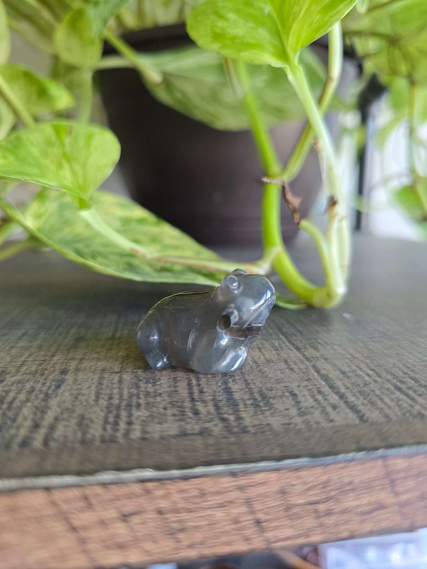 UV Reactive Volcano Agate Frog