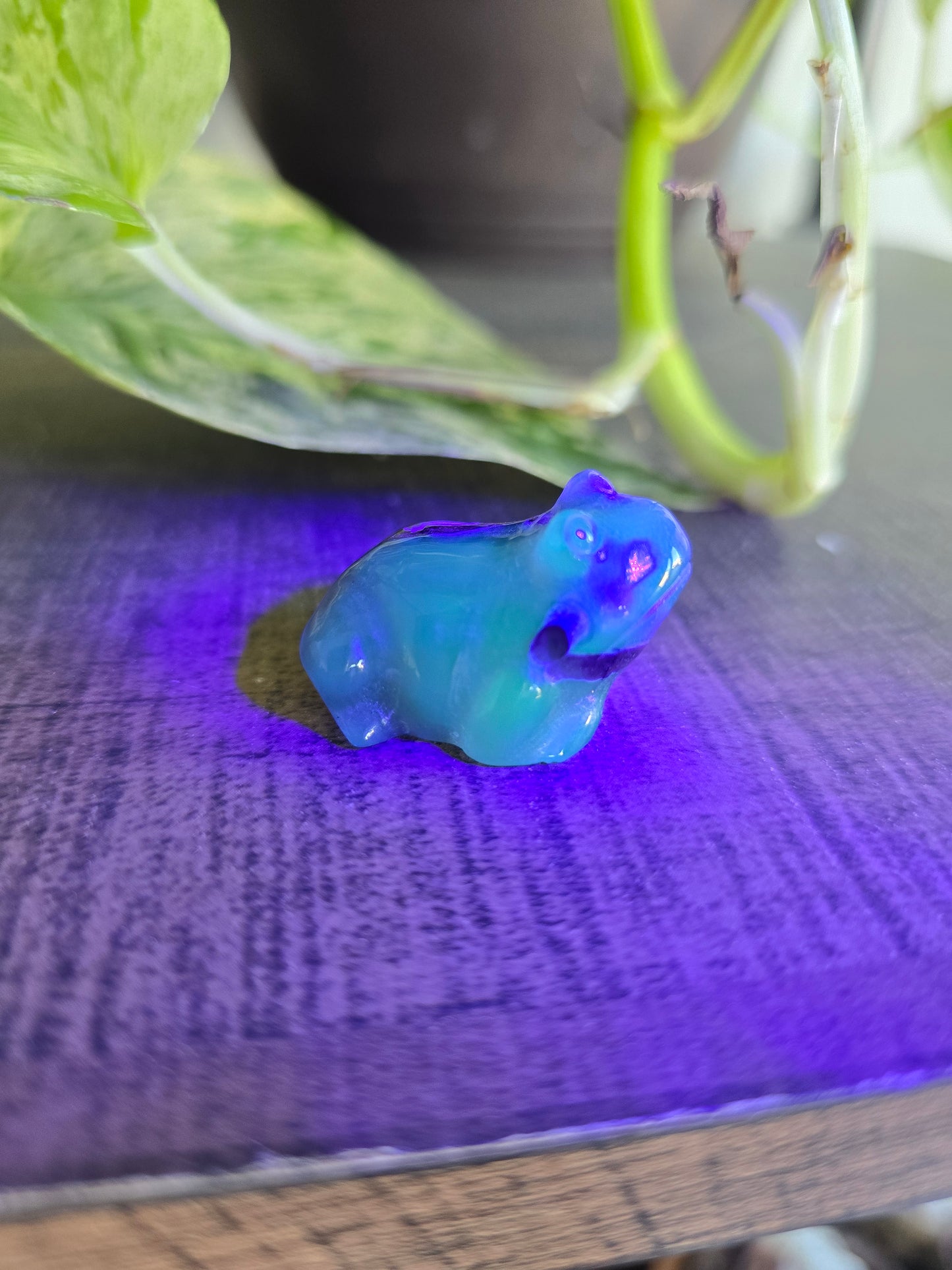 UV Reactive Volcano Agate Frog