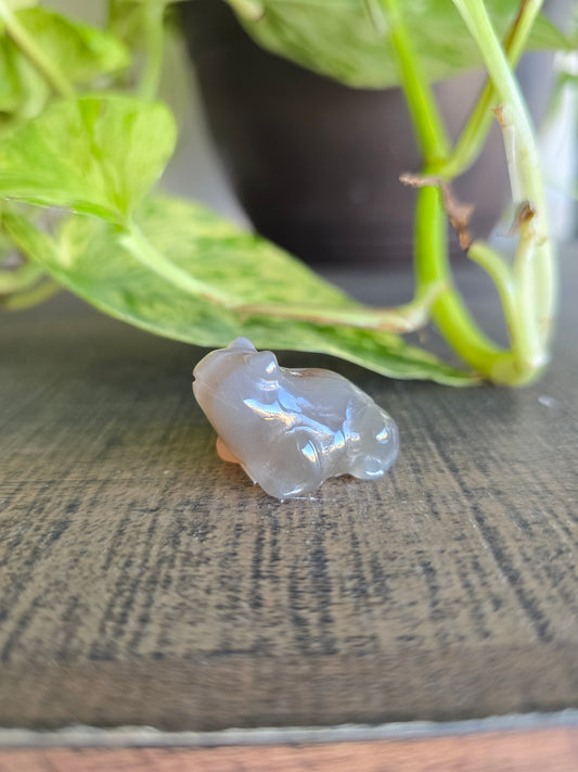 UV Reactive Volcano Agate Frog