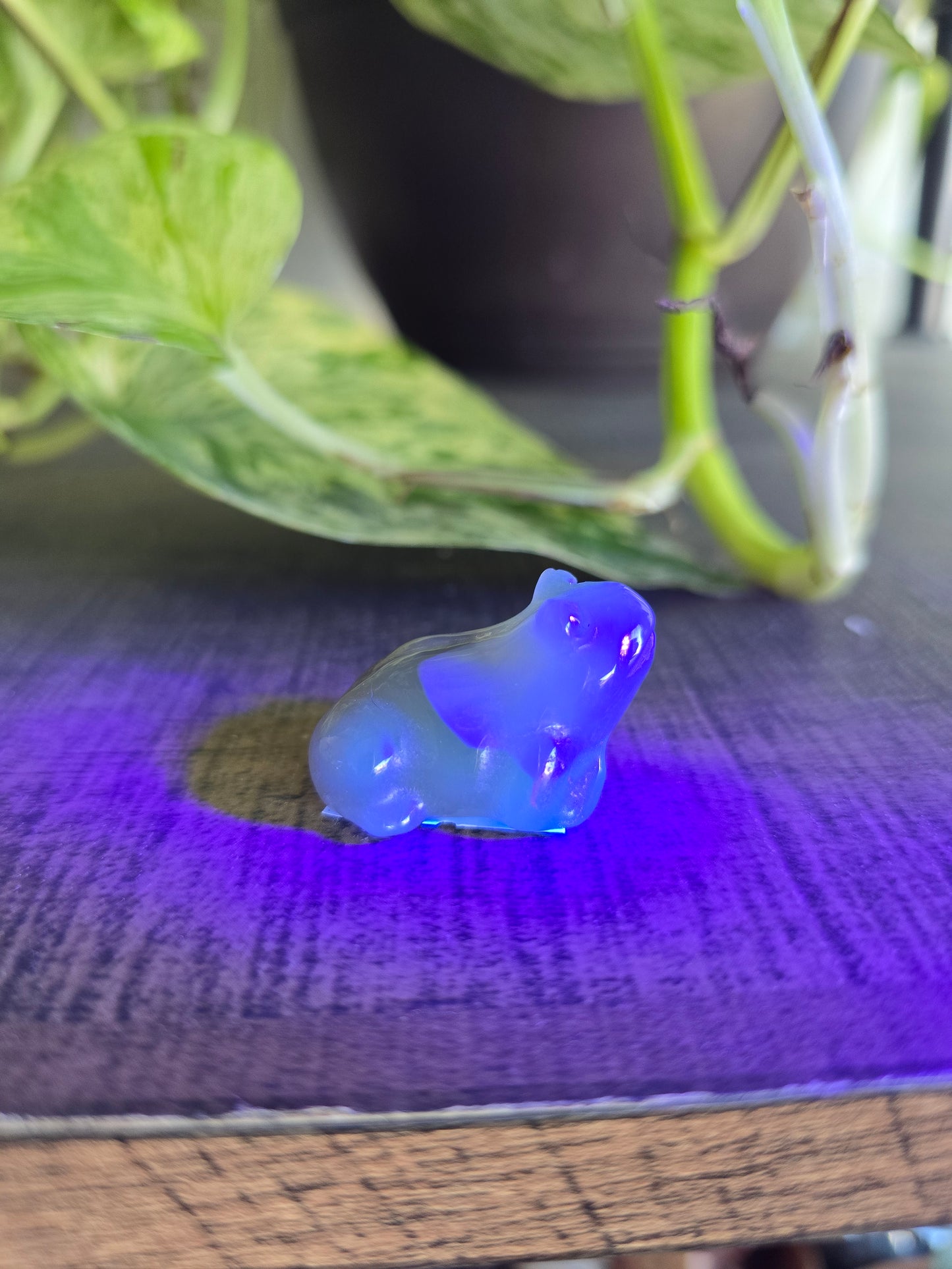 UV Reactive Volcano Agate Frog