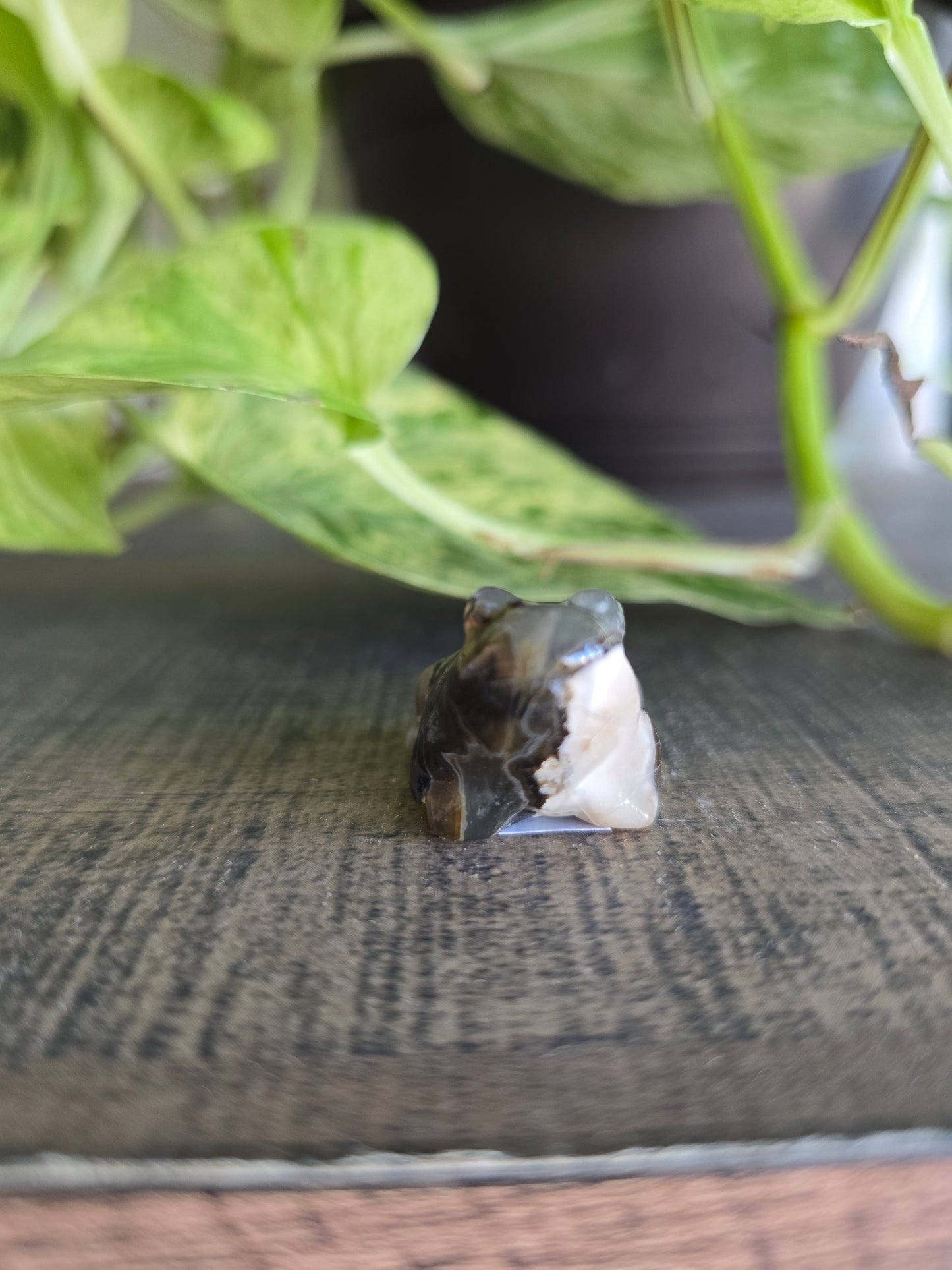 UV Reactive Volcano Agate Frog