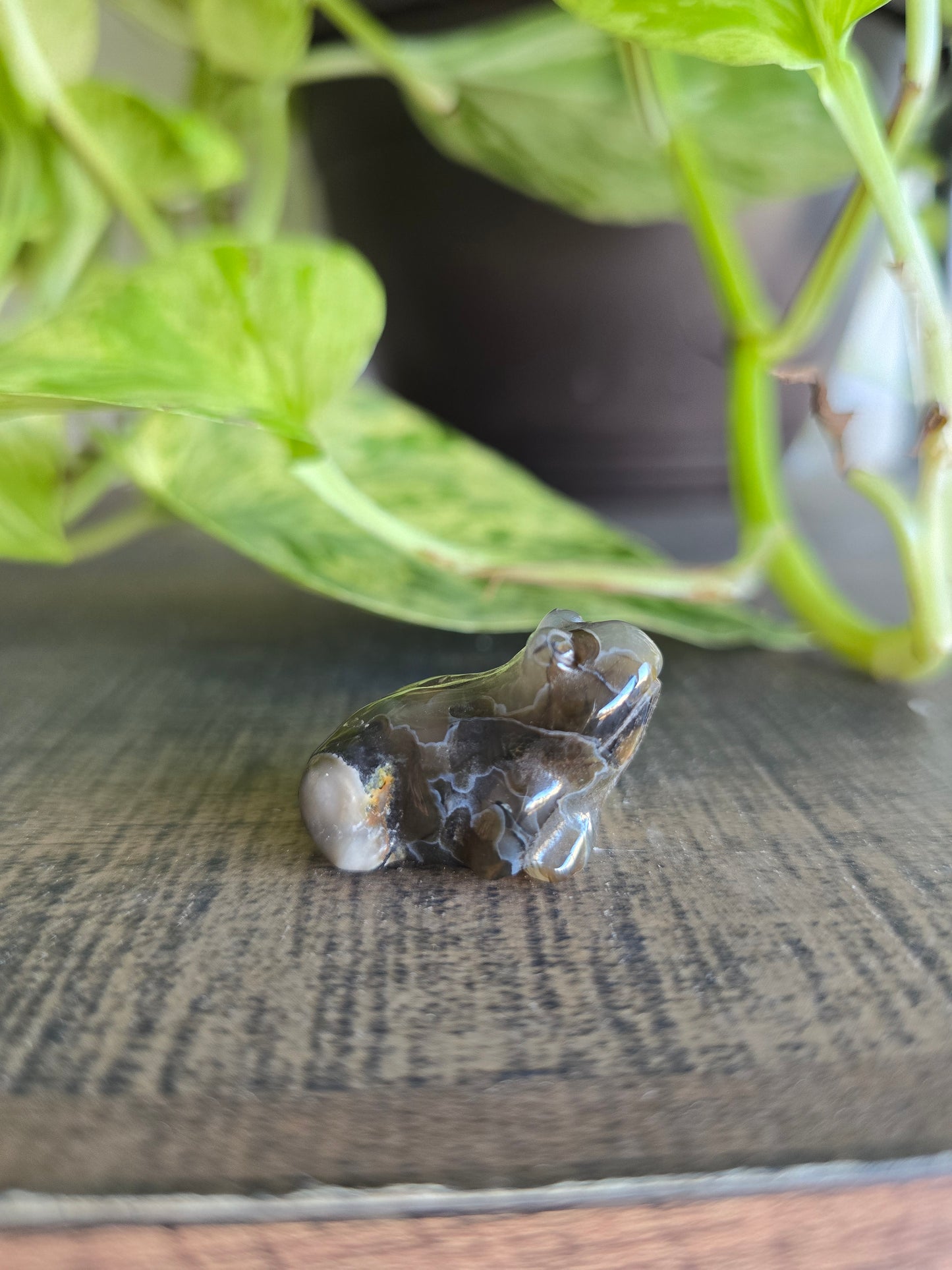 UV Reactive Volcano Agate Frog