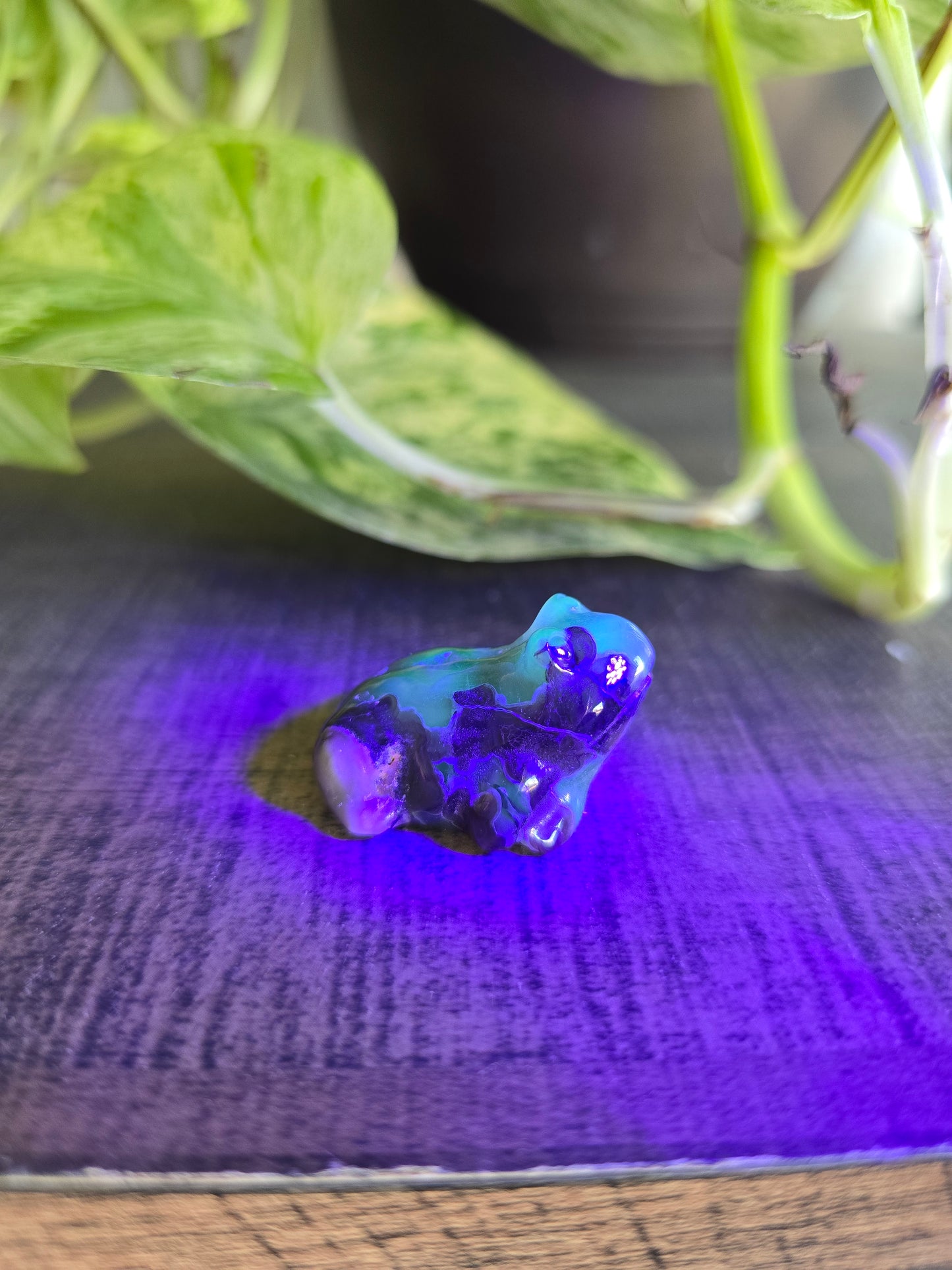 UV Reactive Volcano Agate Frog