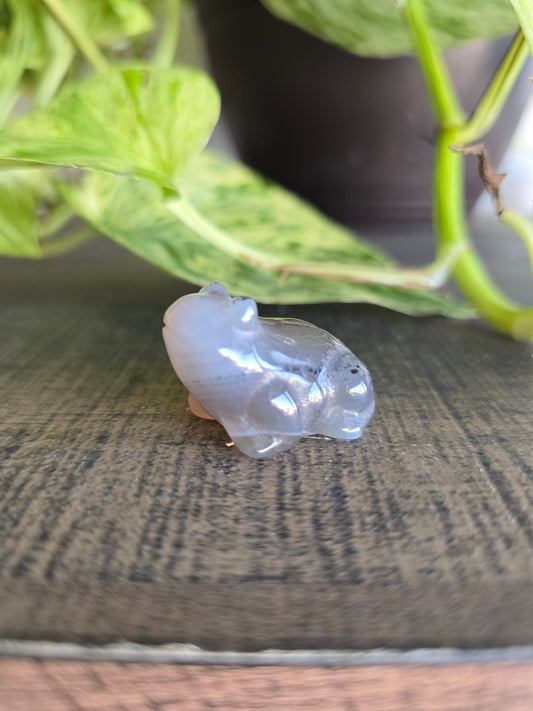 UV Reactive Volcano Agate Frog