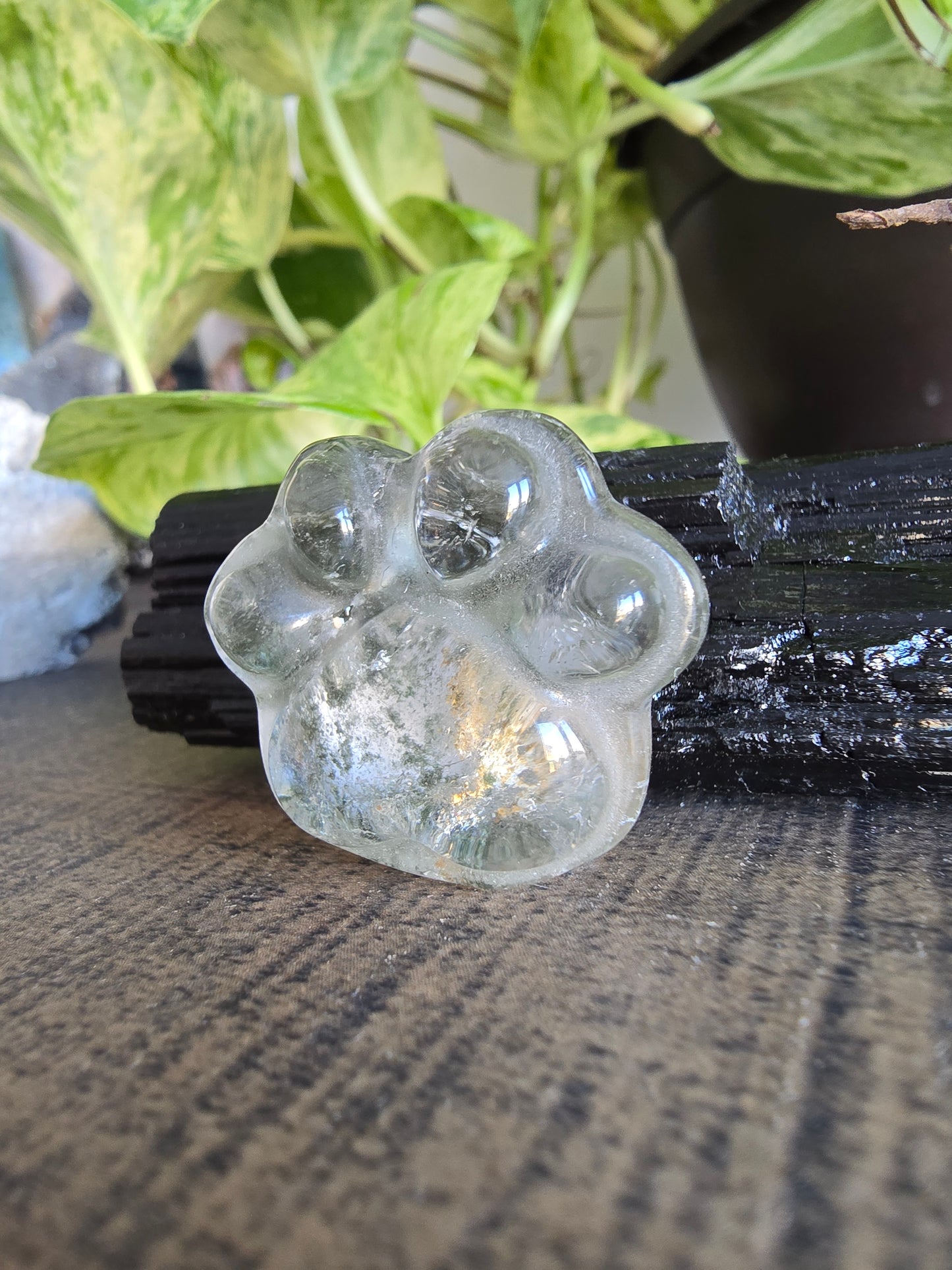 Garden Quartz Crystal Paw