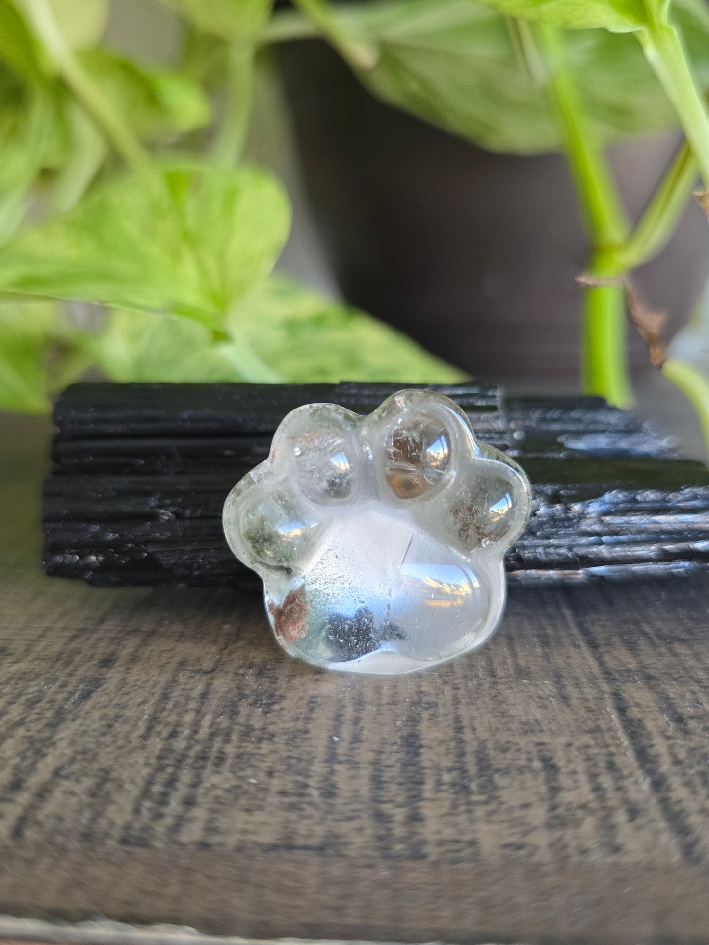 Garden Quartz Crystal Paw