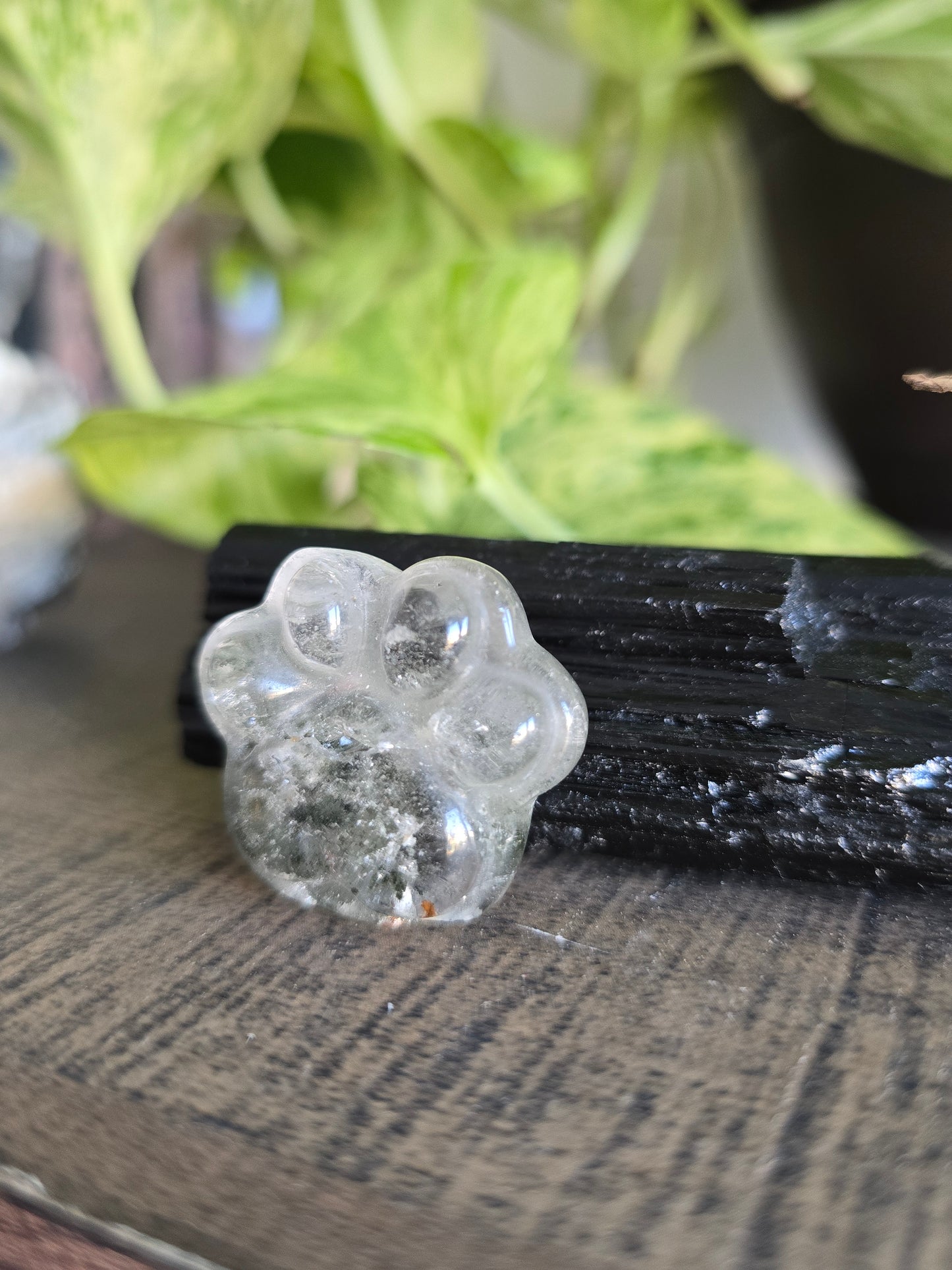 Garden Quartz Crystal Paw