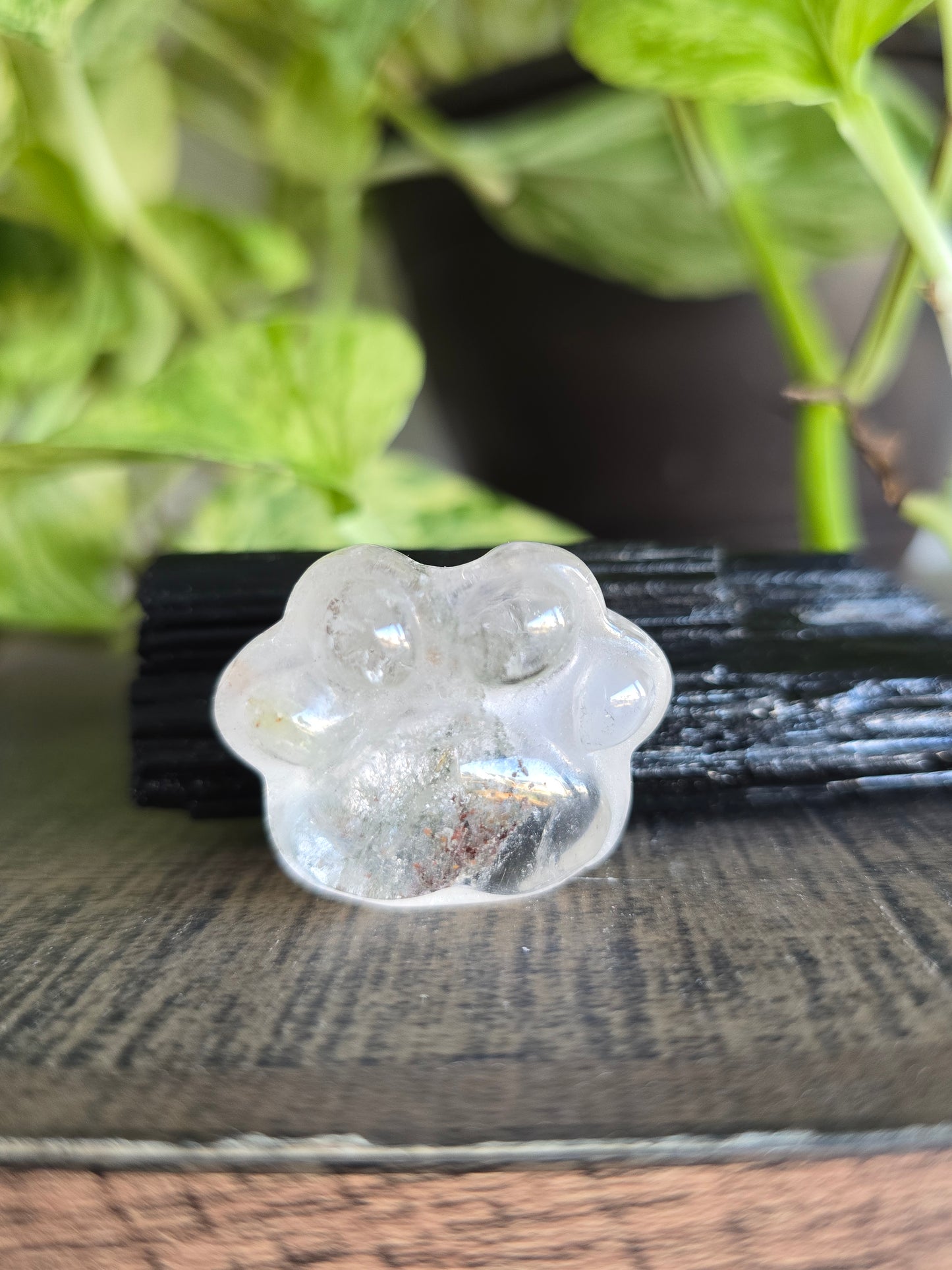 Garden Quartz Crystal Paw