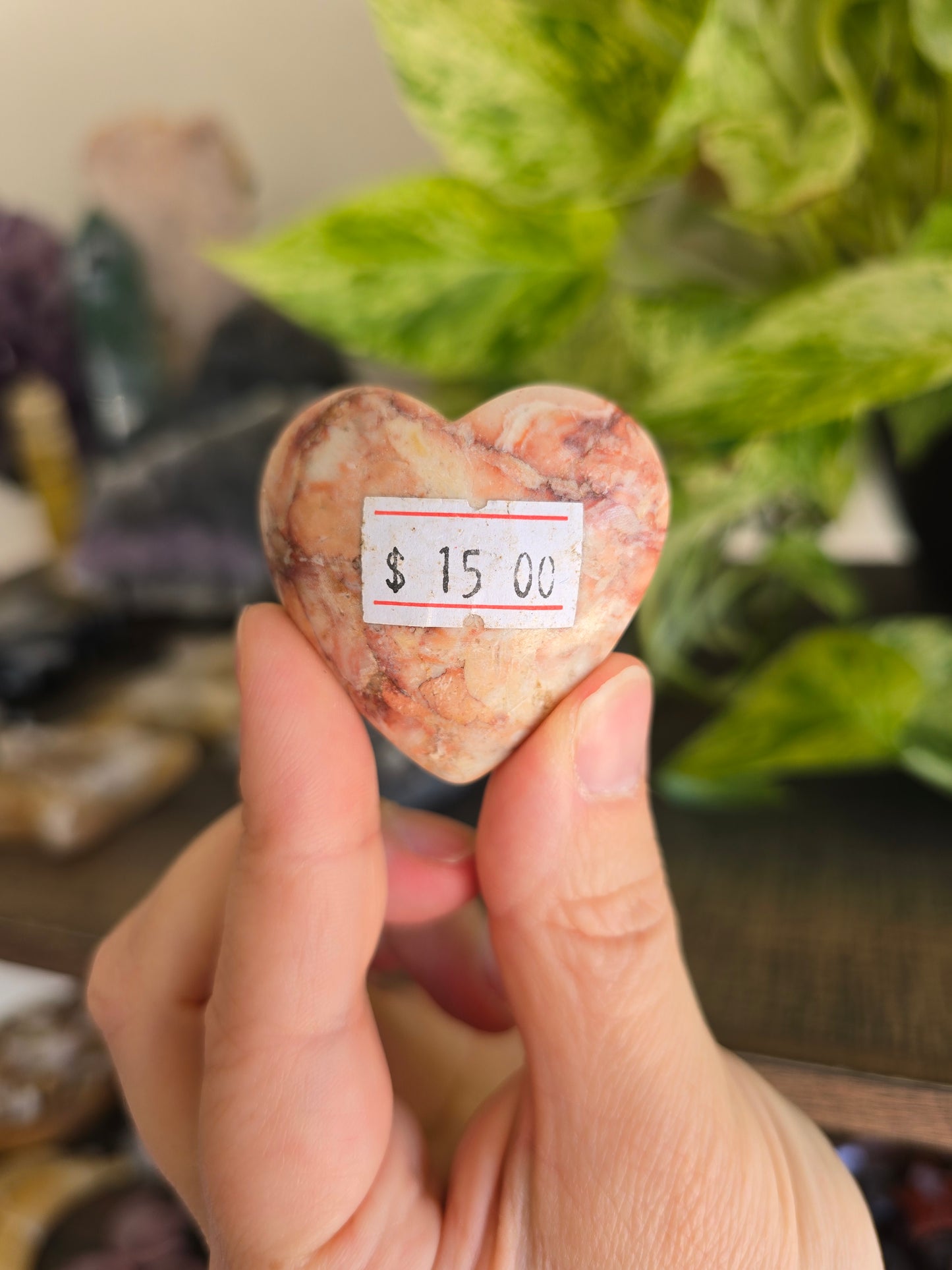 Rose Garden Jasper Heart