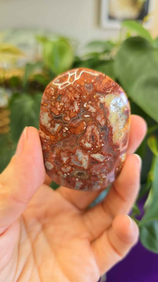 Red Mexican Crazy Lace Agate Palm Stone
