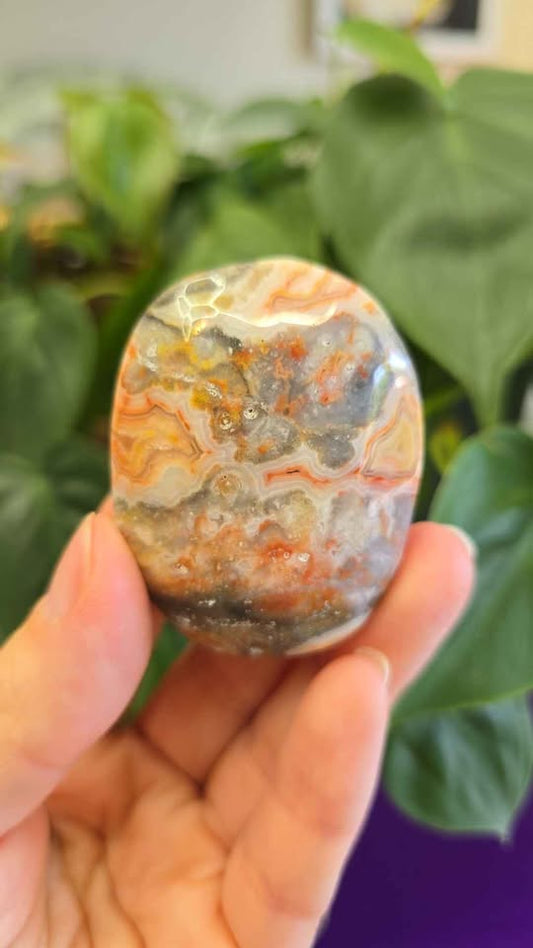 Red Mexican Crazy Lace Agate Palm Stone