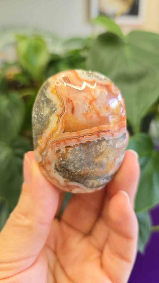 Red Mexican Crazy Lace Agate Palm Stone