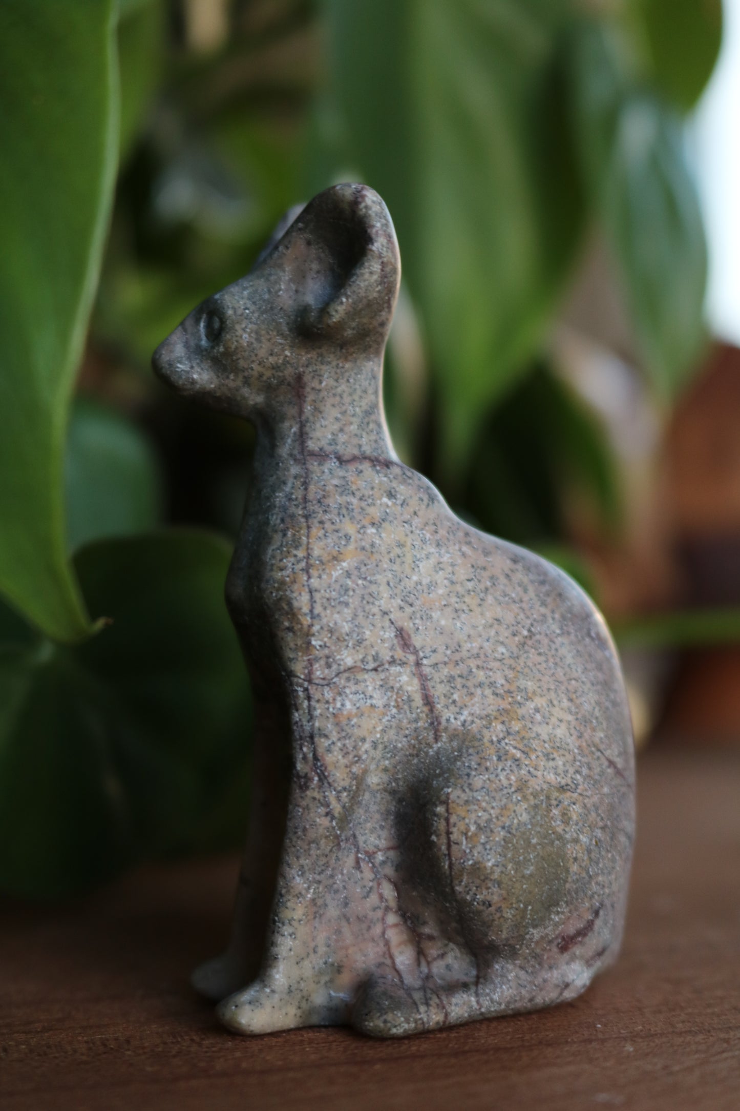 Picture Jasper Sphynx Cat Carving