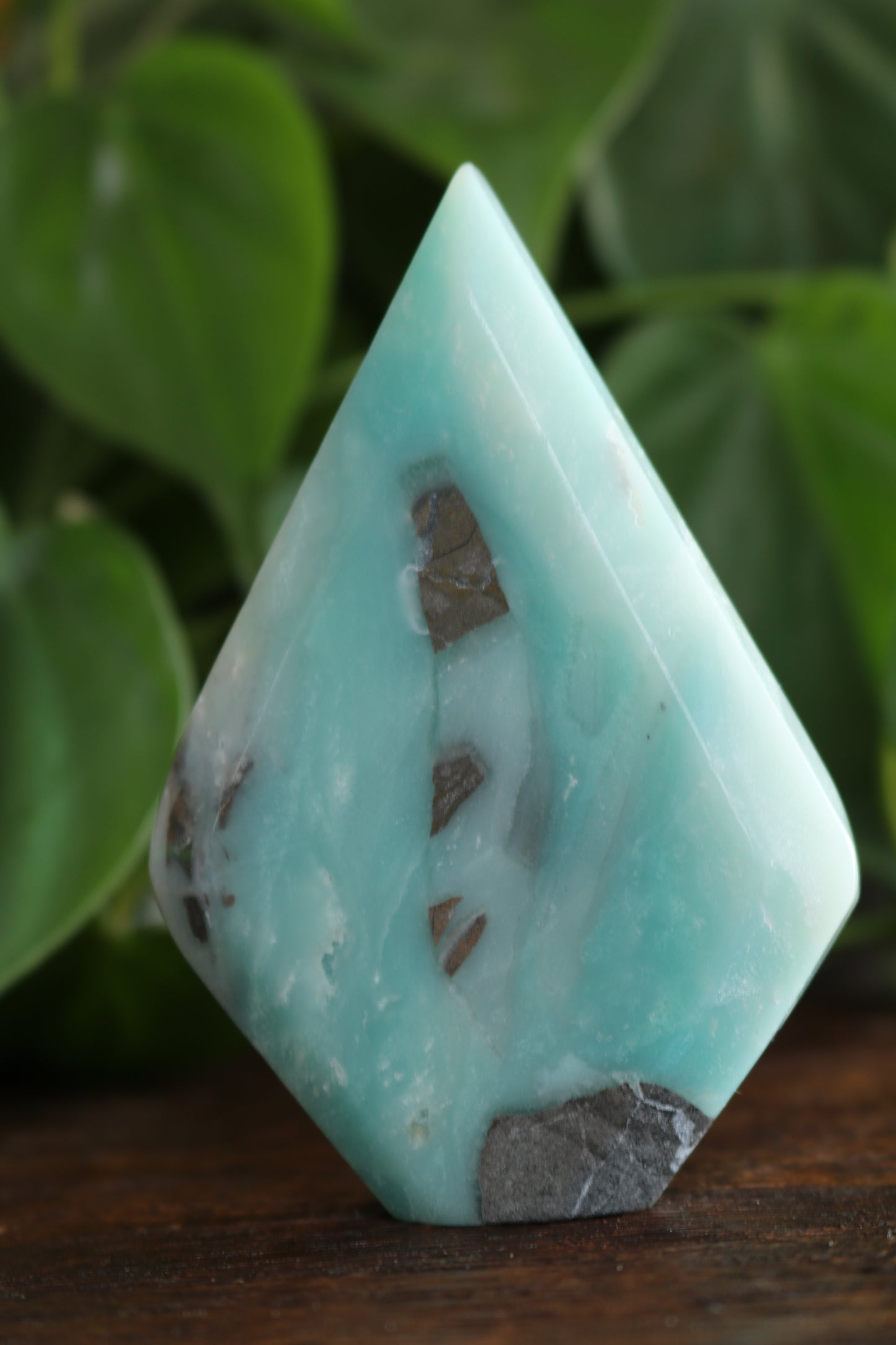 Caribbean Calcite Flipper