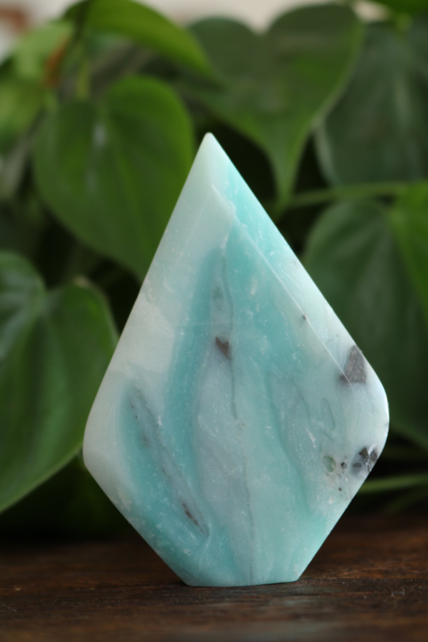 Caribbean Calcite Flipper