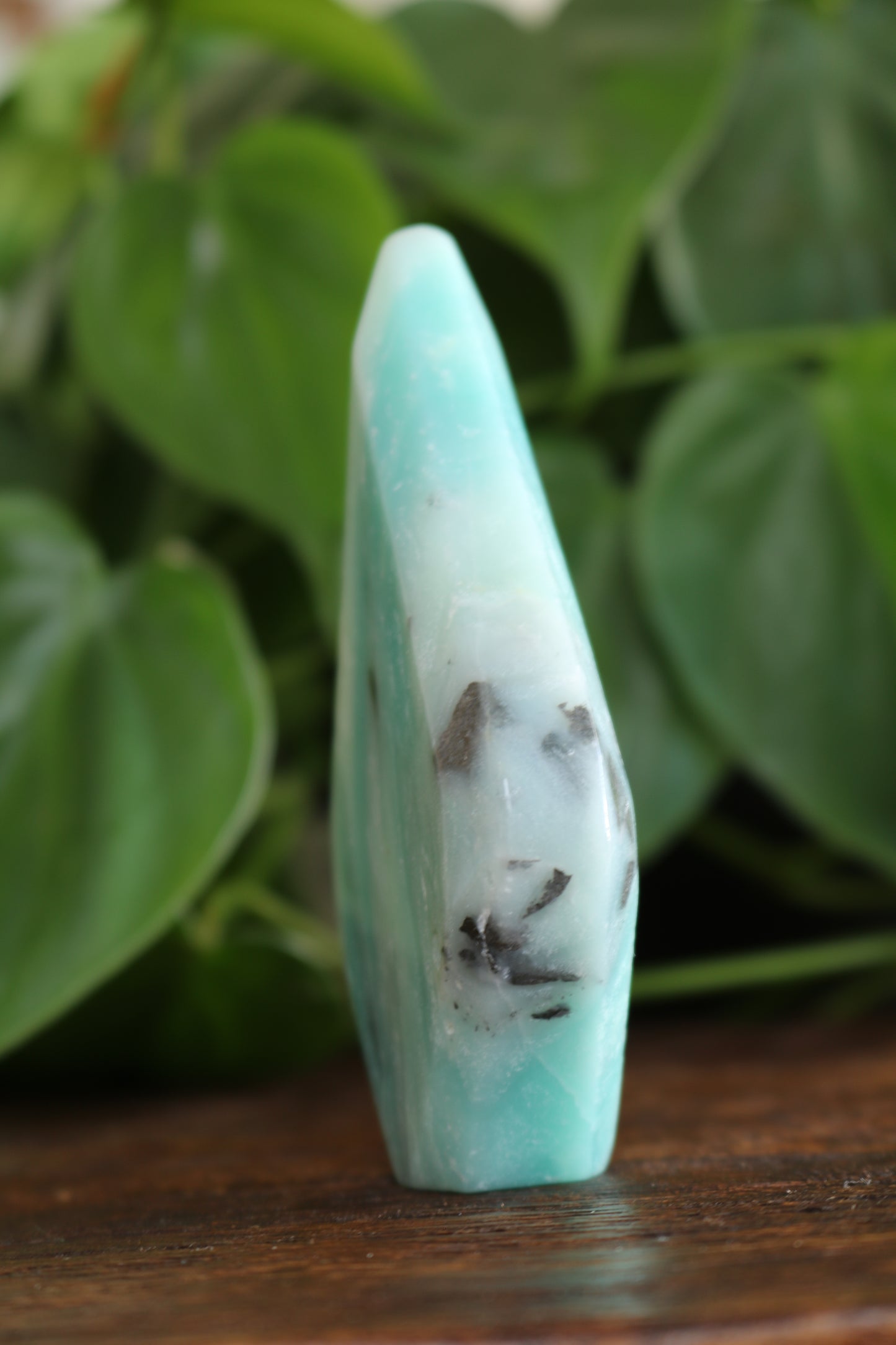 Caribbean Calcite Flipper