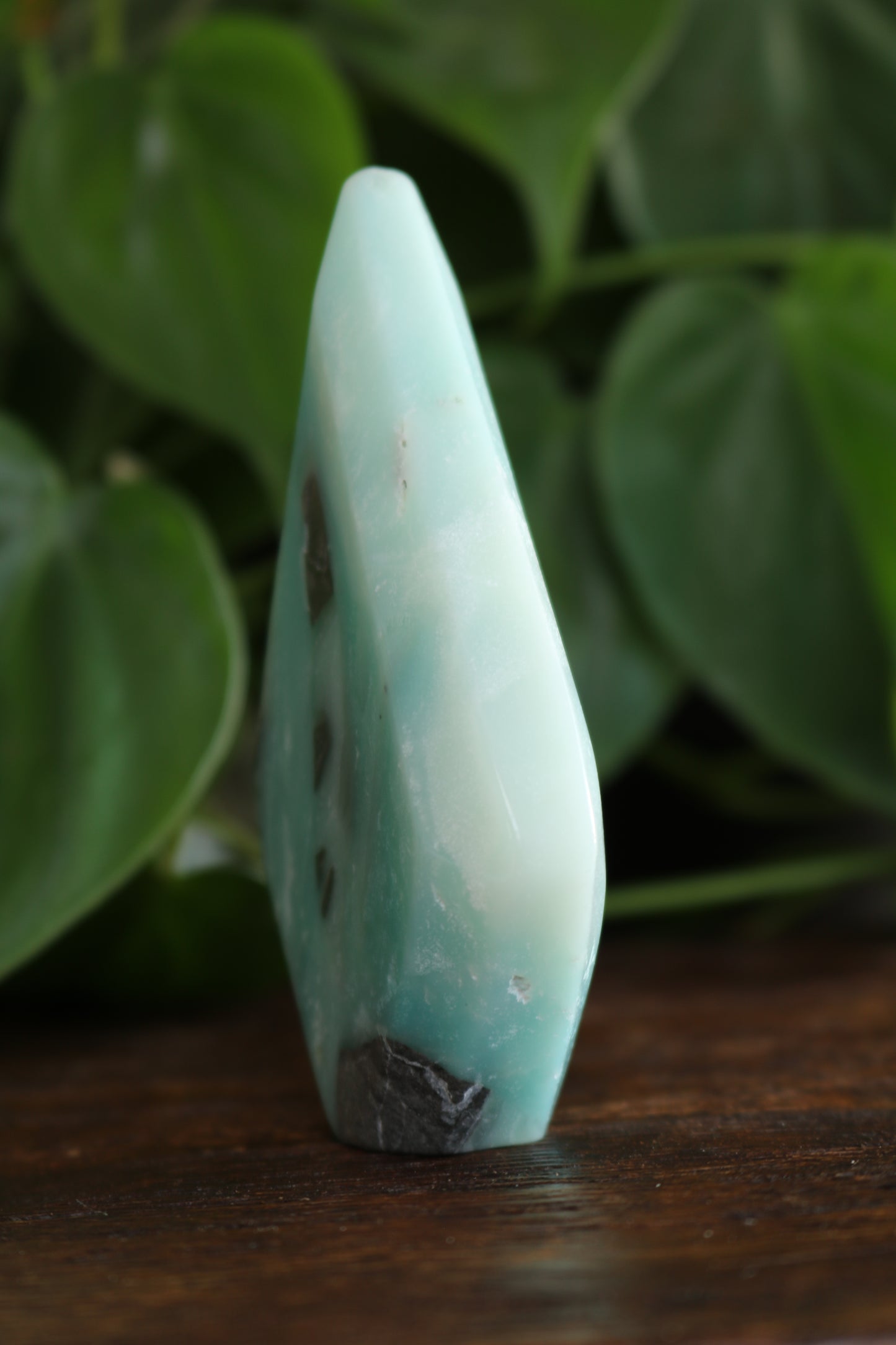 Caribbean Calcite Flipper