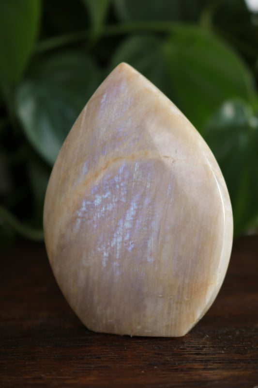 Moonstone Flipper