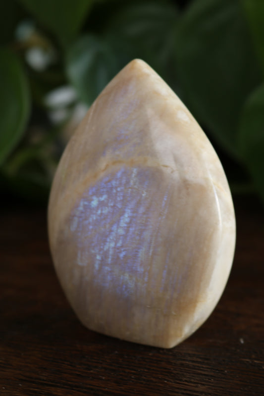 Moonstone Flipper
