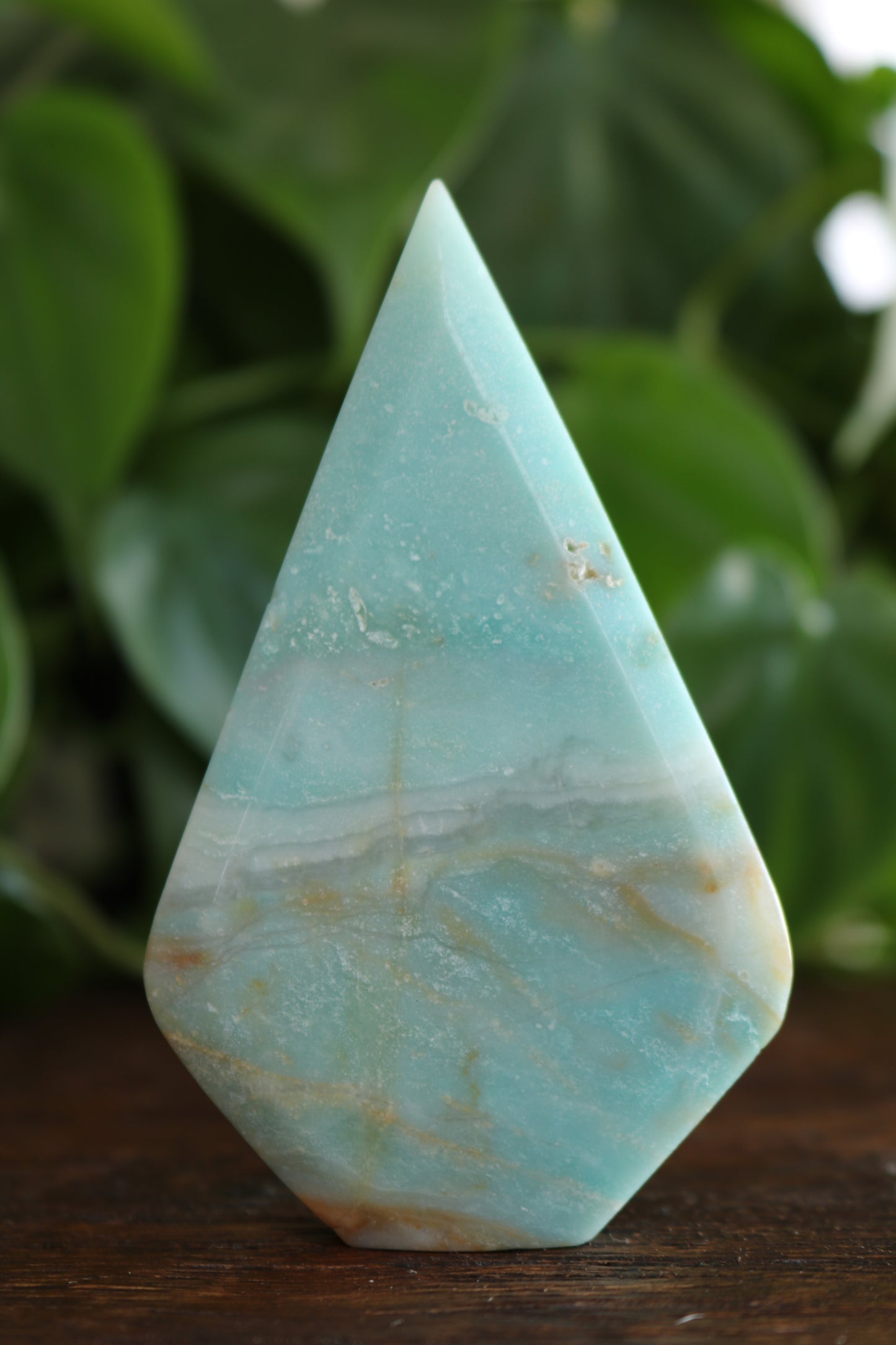 Caribbean Calcite Flipper