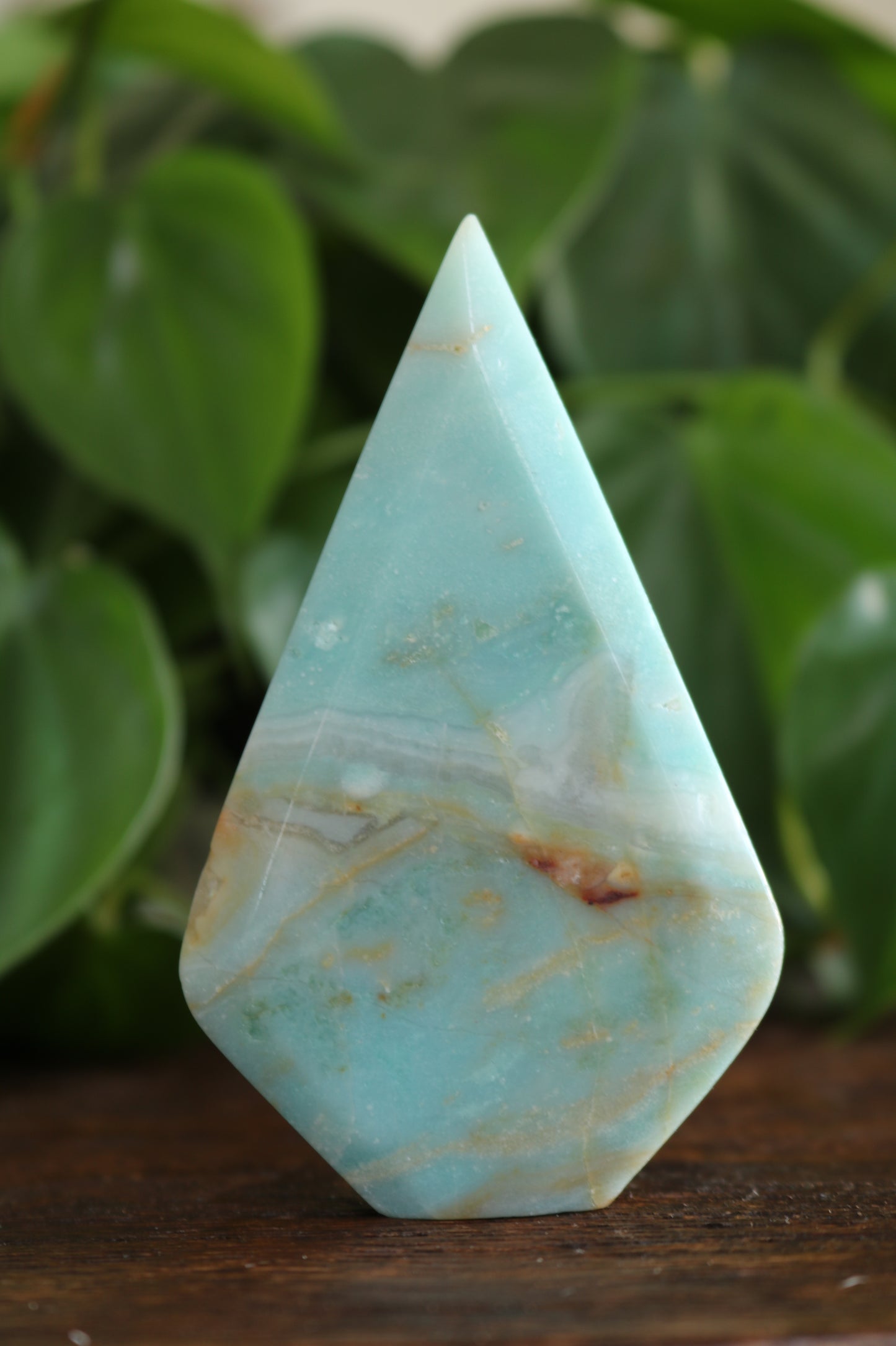 Caribbean Calcite Flipper