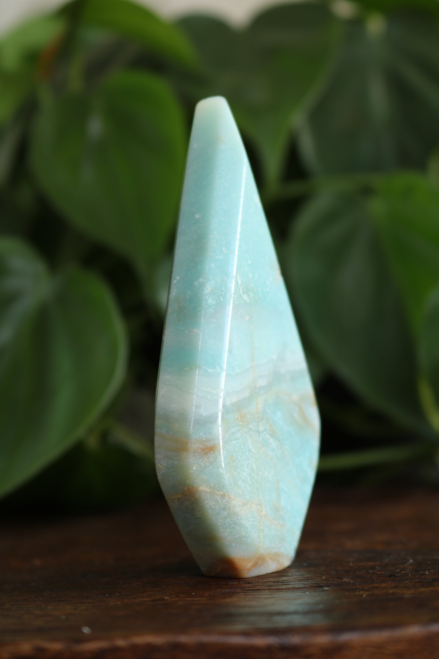 Caribbean Calcite Flipper
