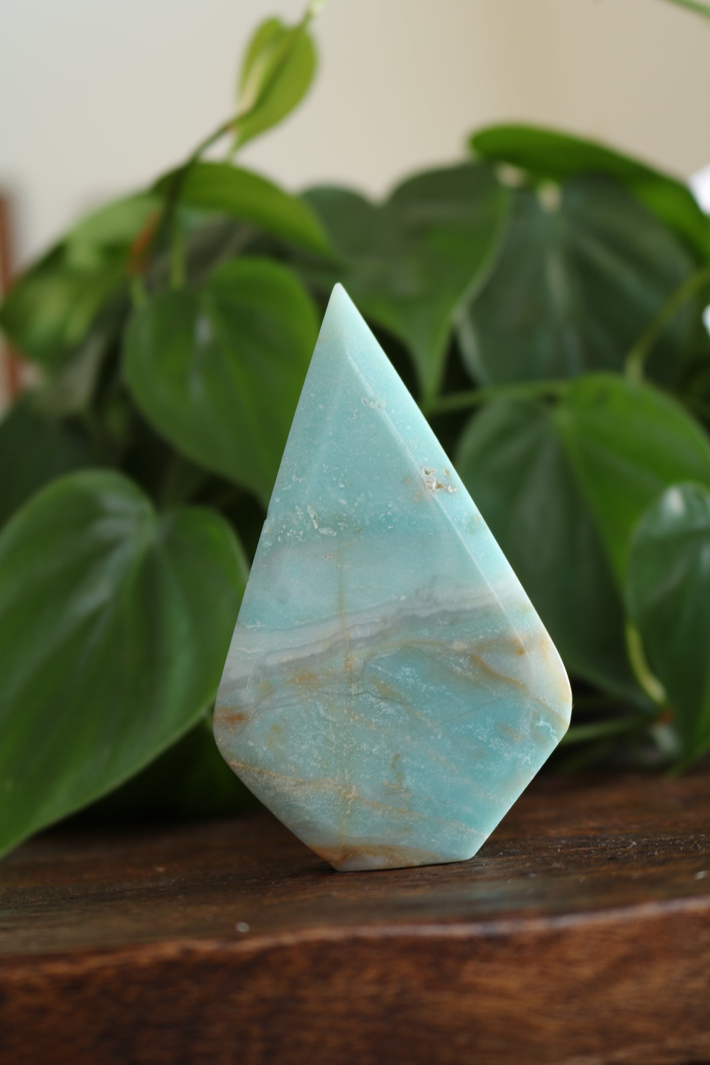 Caribbean Calcite Flipper