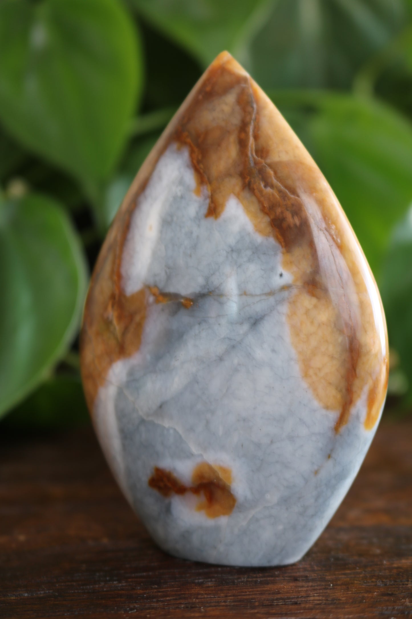 Oregon Sunset Jasper Flipper