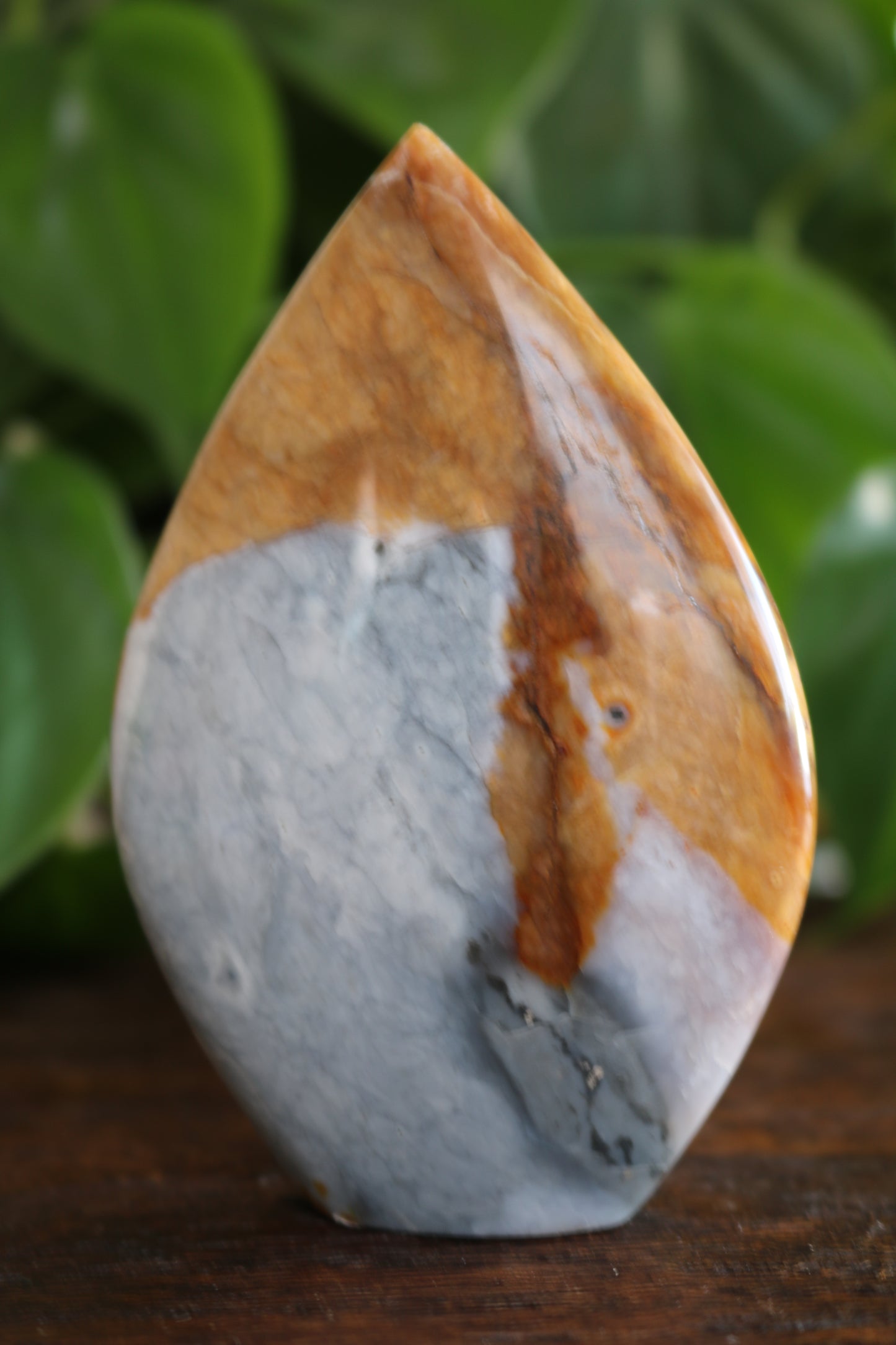 Oregon Sunset Jasper Flipper