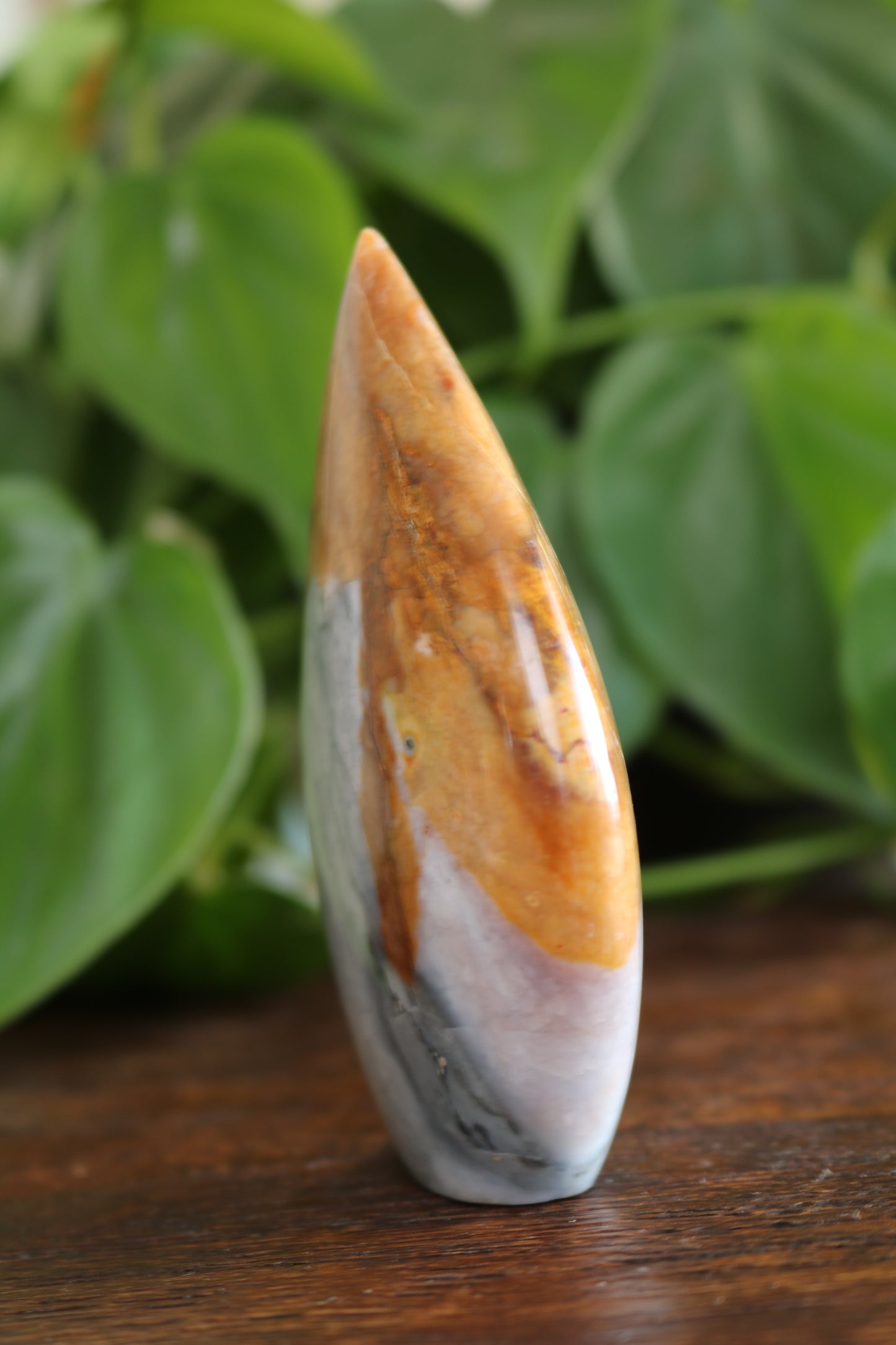 Oregon Sunset Jasper Flipper