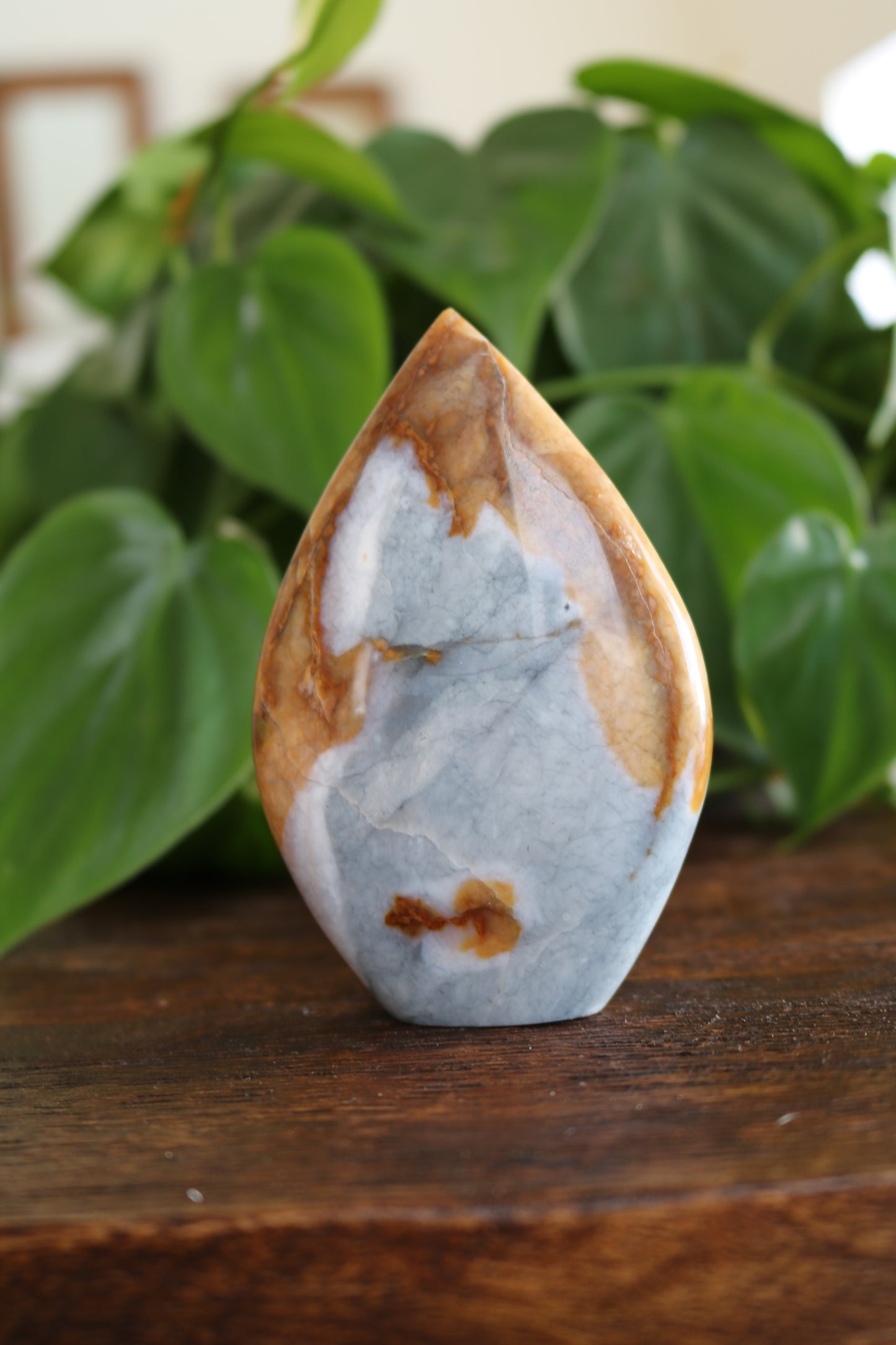 Oregon Sunset Jasper Flipper