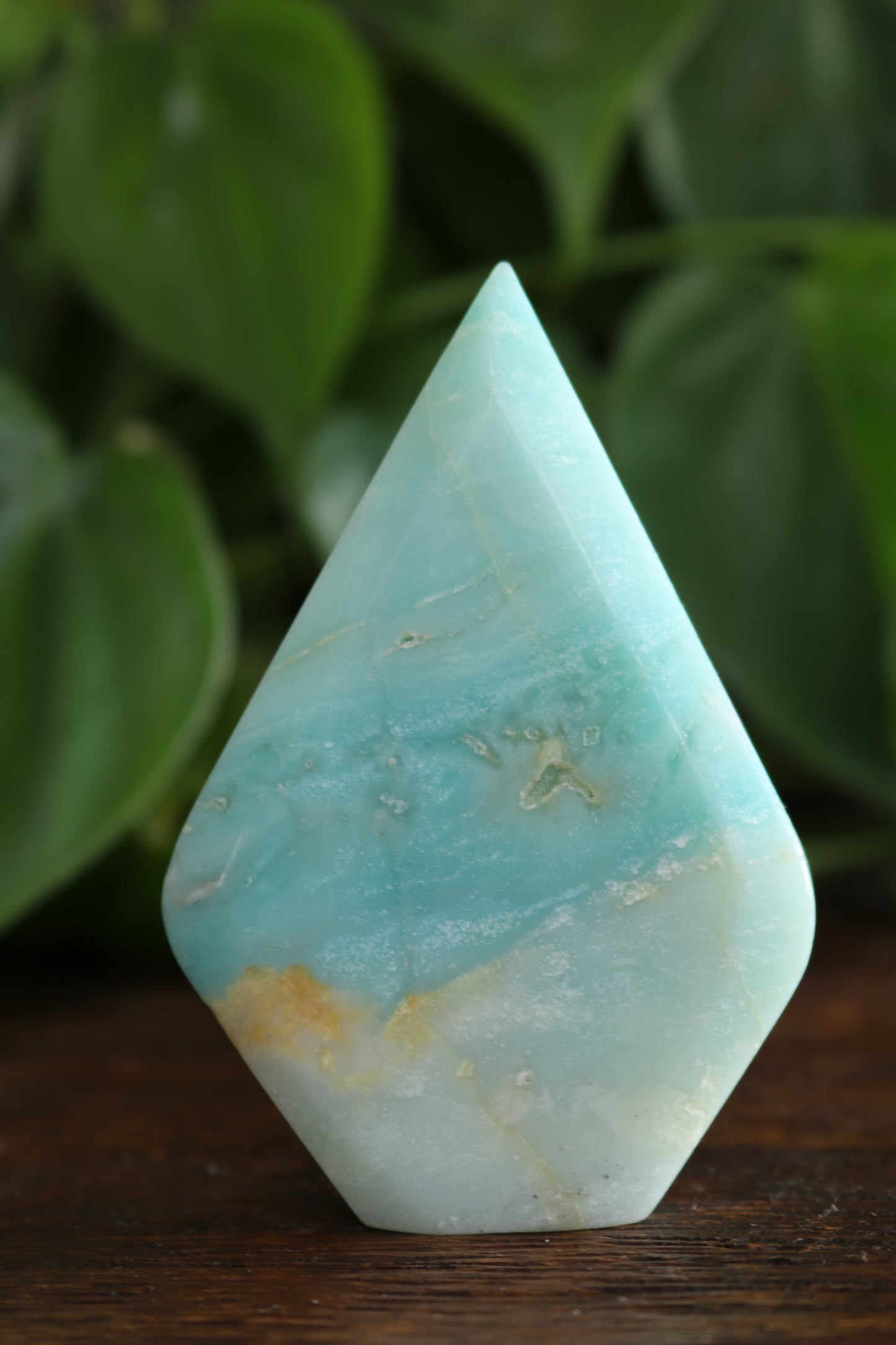 Caribbean Calcite Flipper