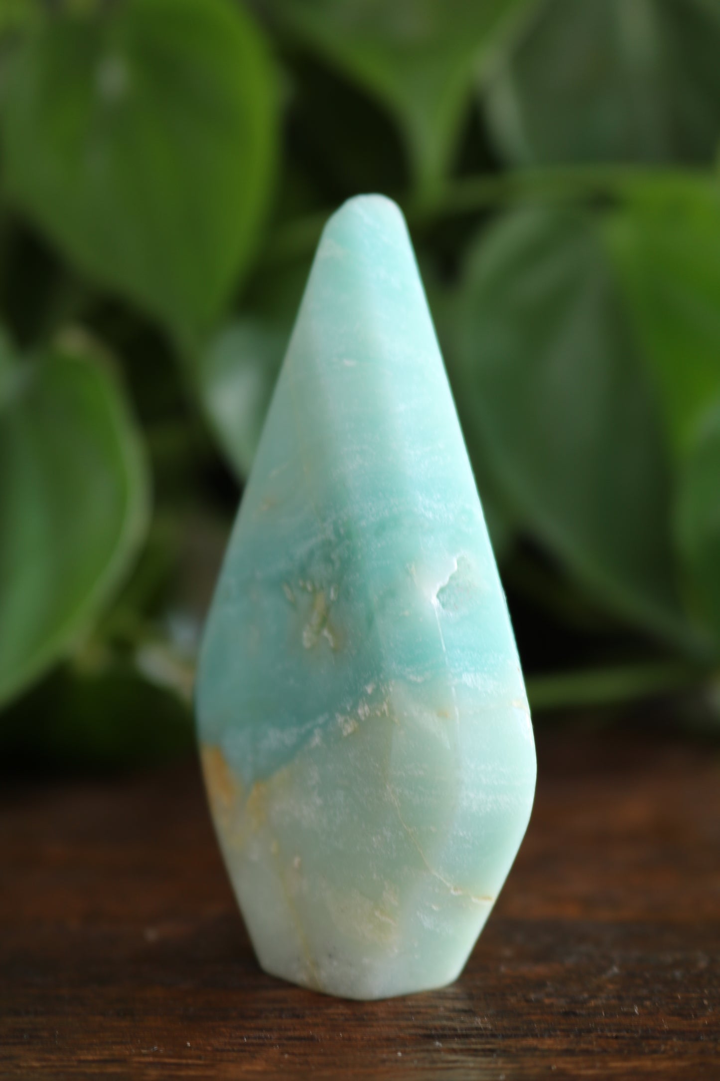 Caribbean Calcite Flipper
