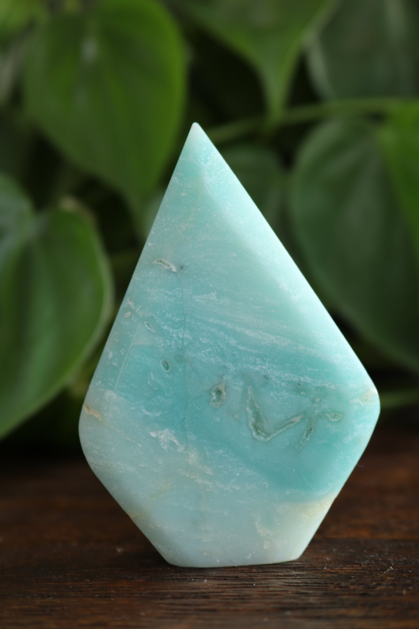 Caribbean Calcite Flipper