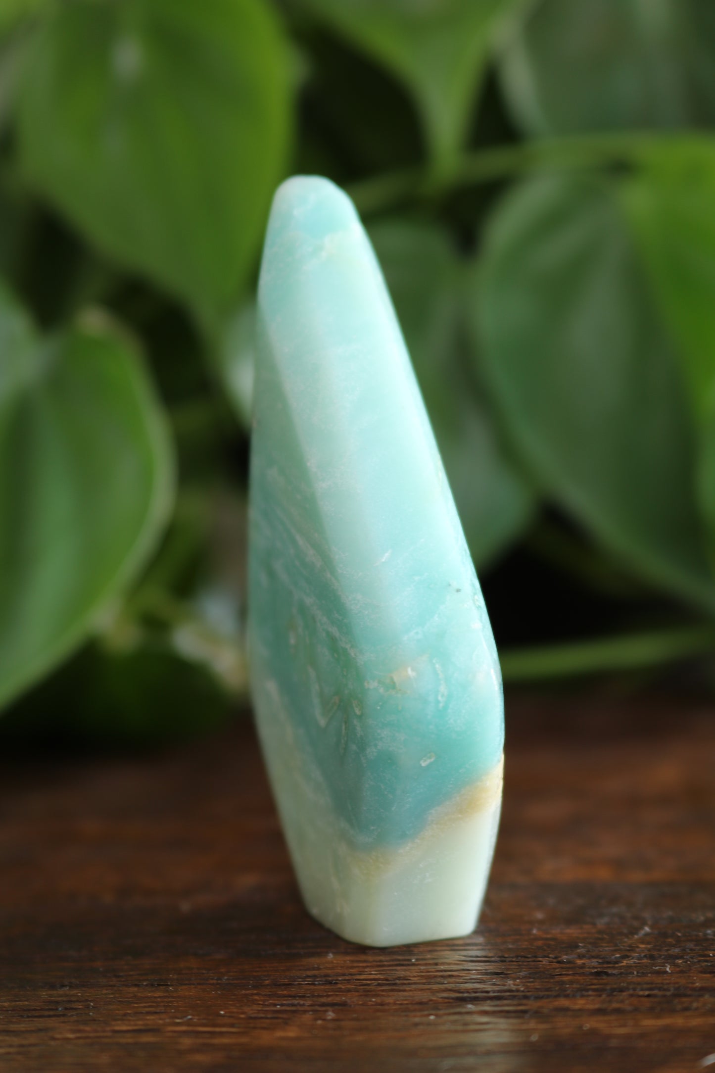 Caribbean Calcite Flipper