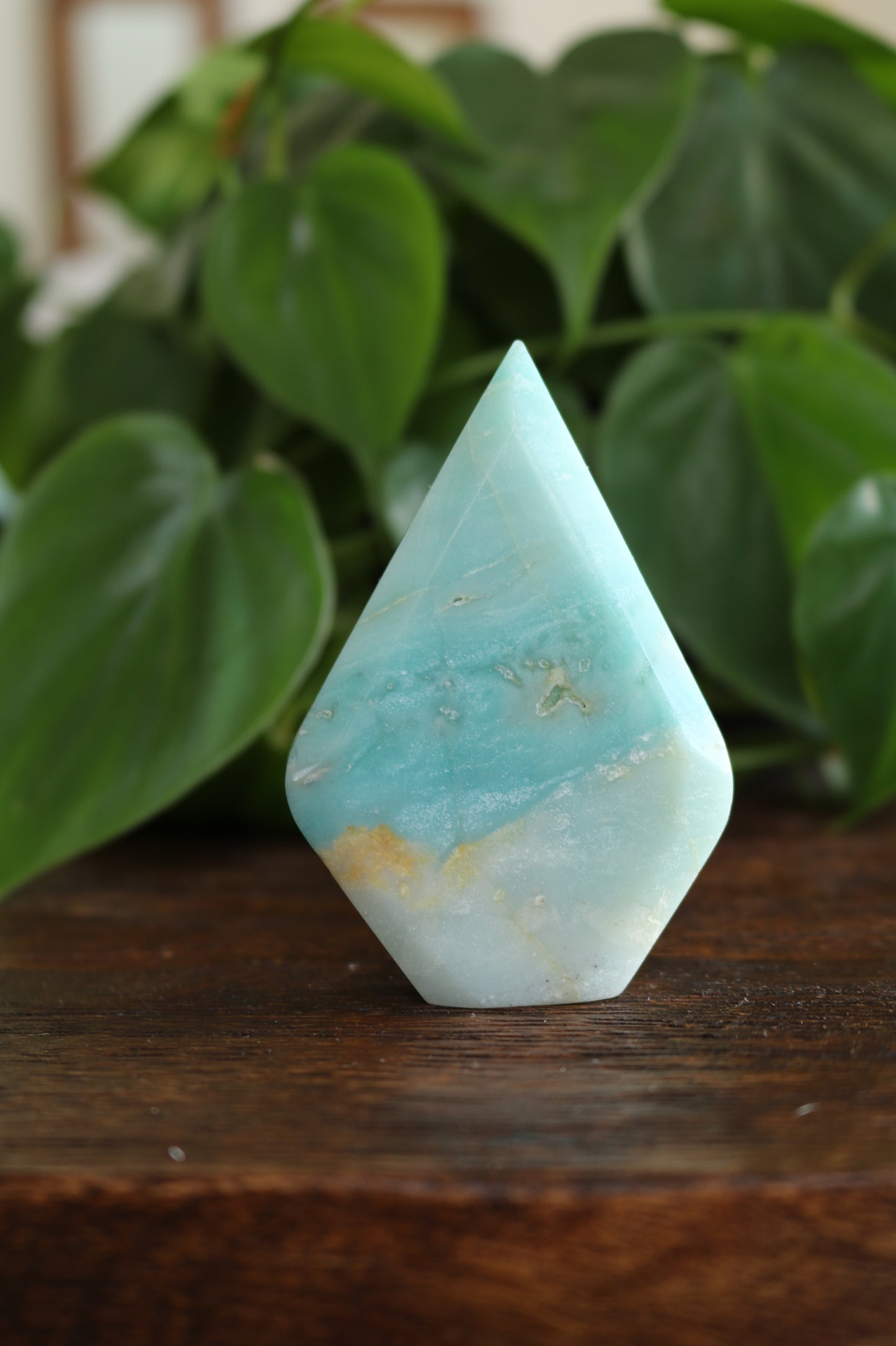 Caribbean Calcite Flipper