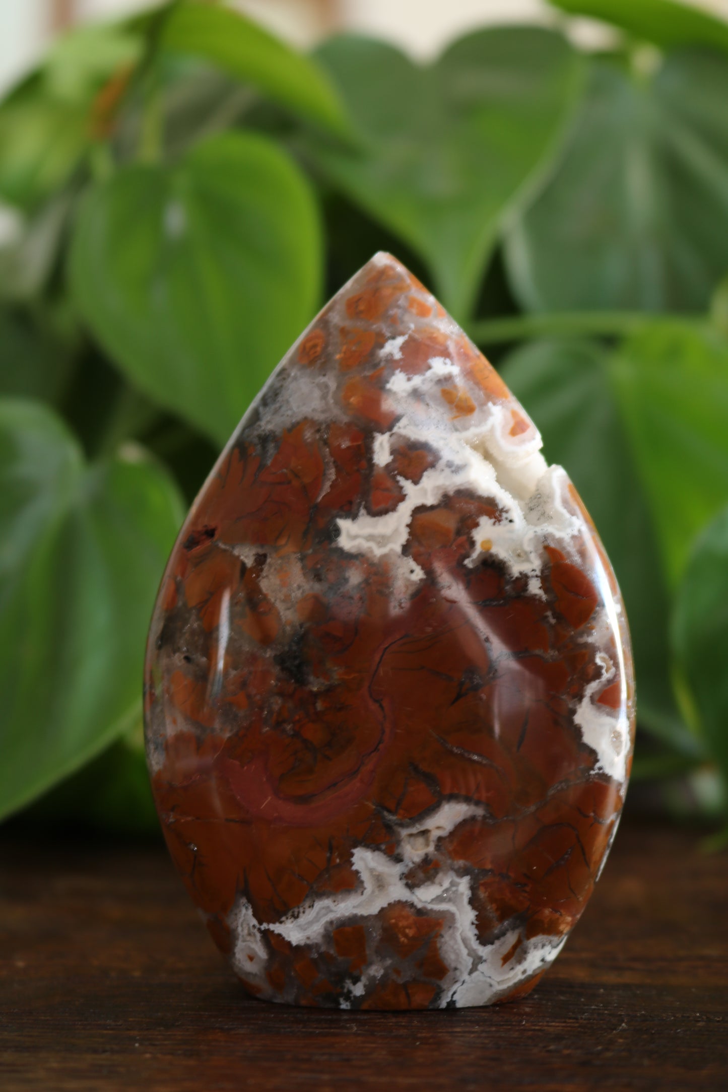 Maligano Jasper Flipper