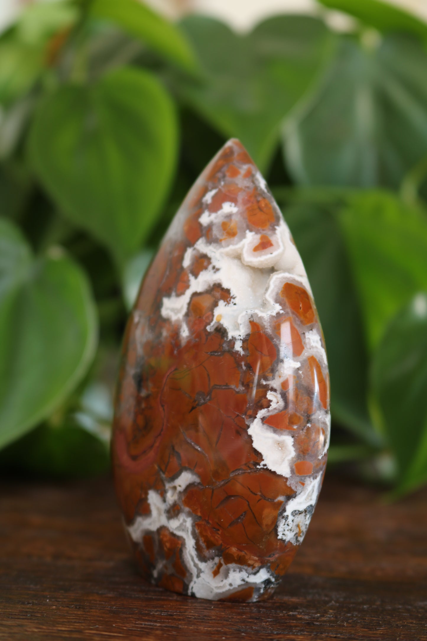 Maligano Jasper Flipper