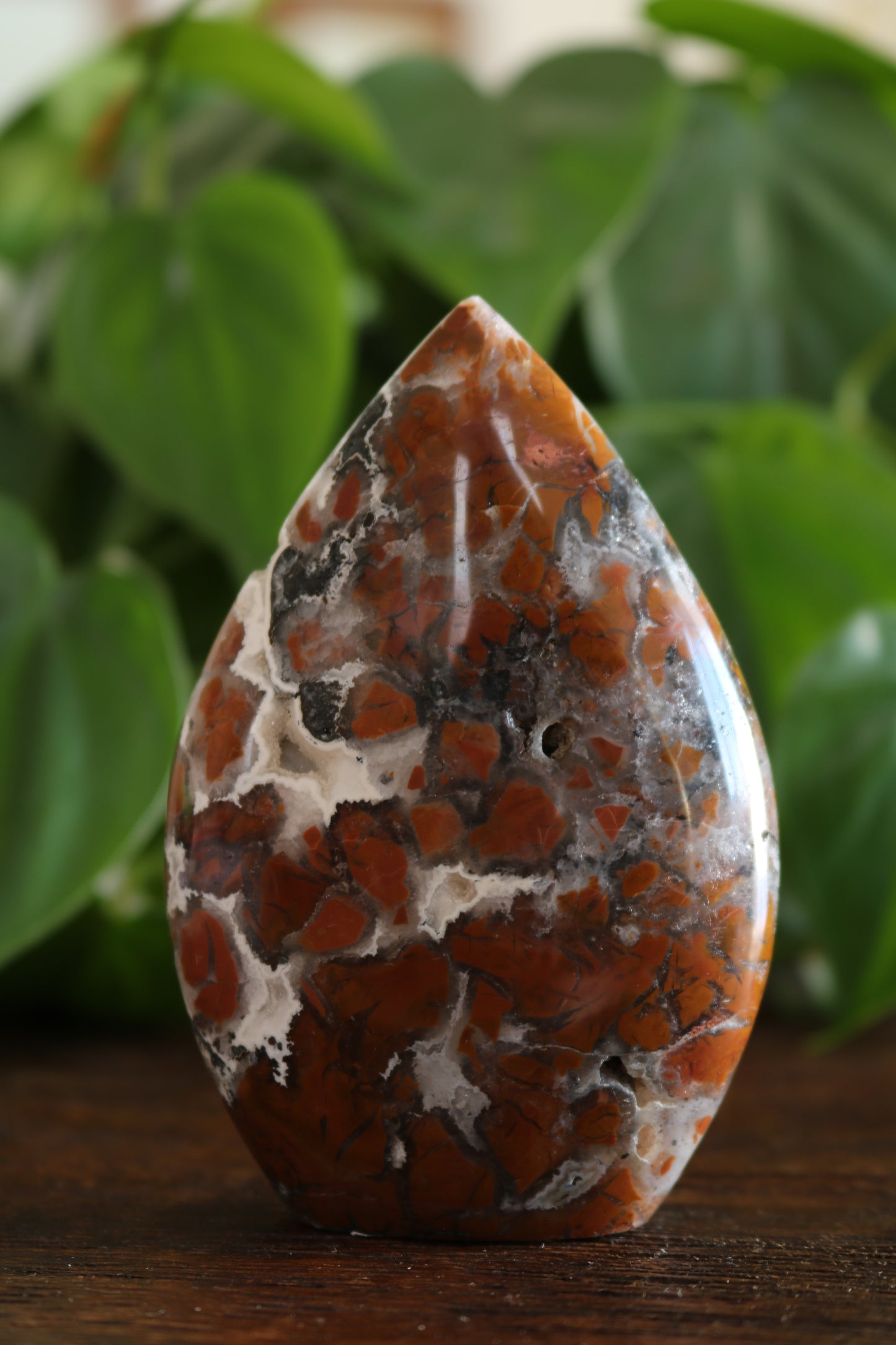 Maligano Jasper Flipper