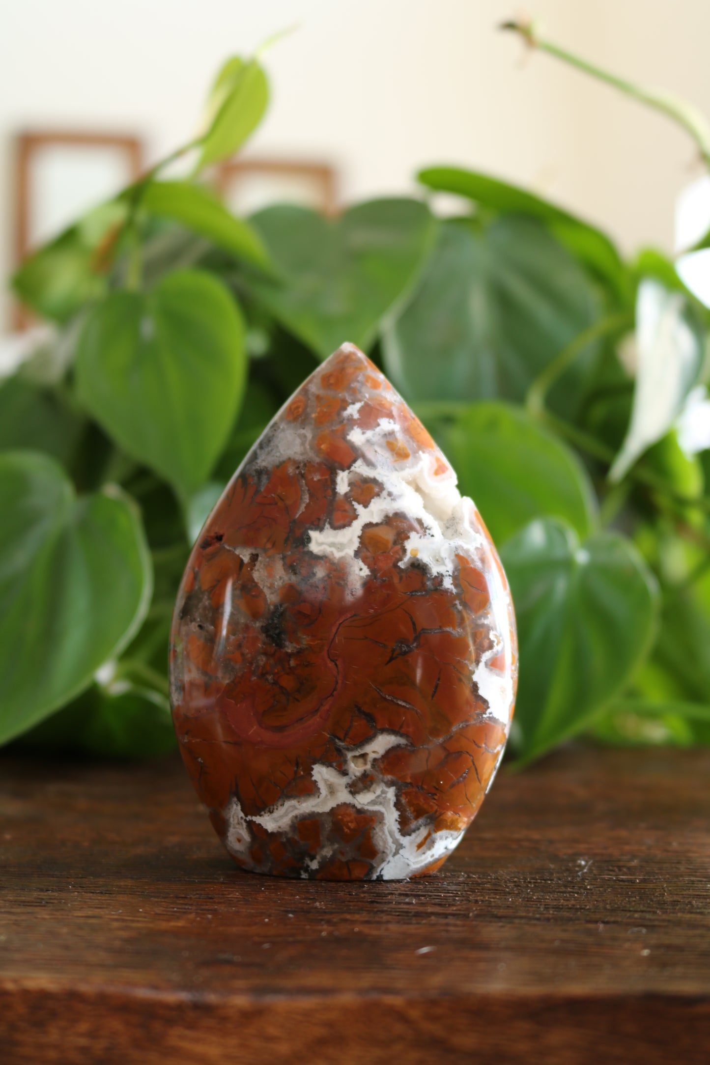 Maligano Jasper Flipper